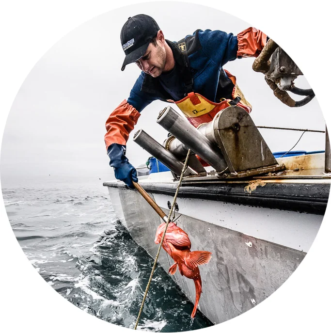 seaharvest_blackcod_circle.jpg
