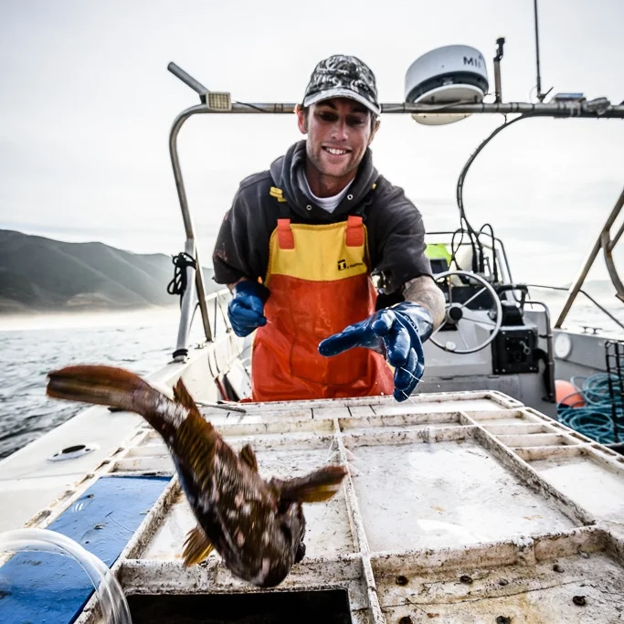 5 Things that Set Monterey Bay Seafood Apart!