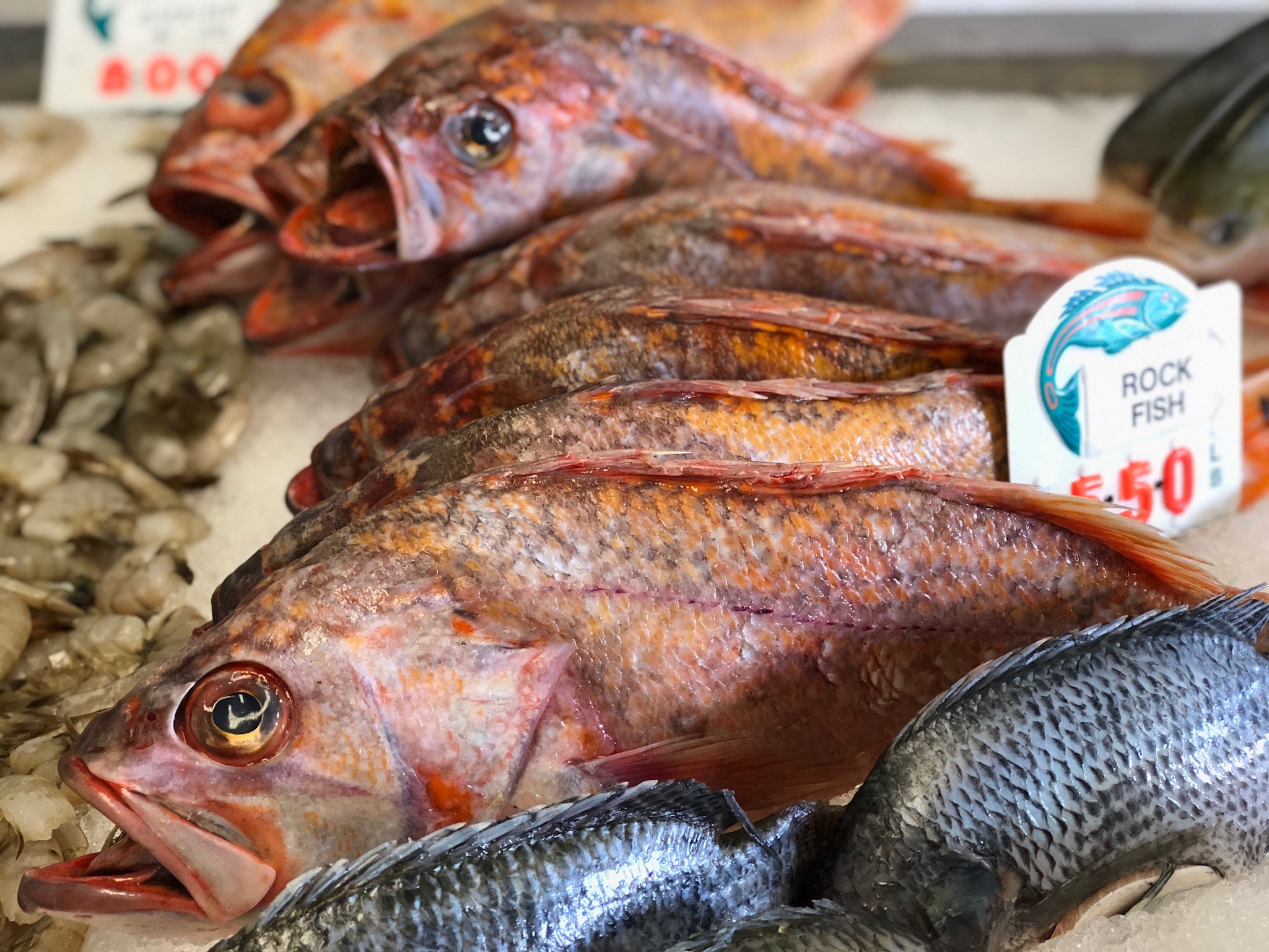 The Who, What, Why of a Local Fish Hub 