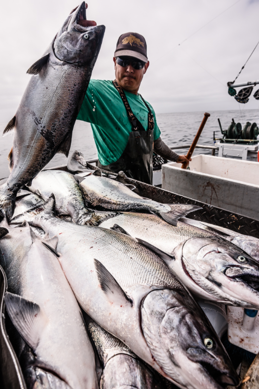 Santa Cruz fisherman, David Toriumi, King salmon fishing in May. (Photo credit: David Hills - Fishy Photos)