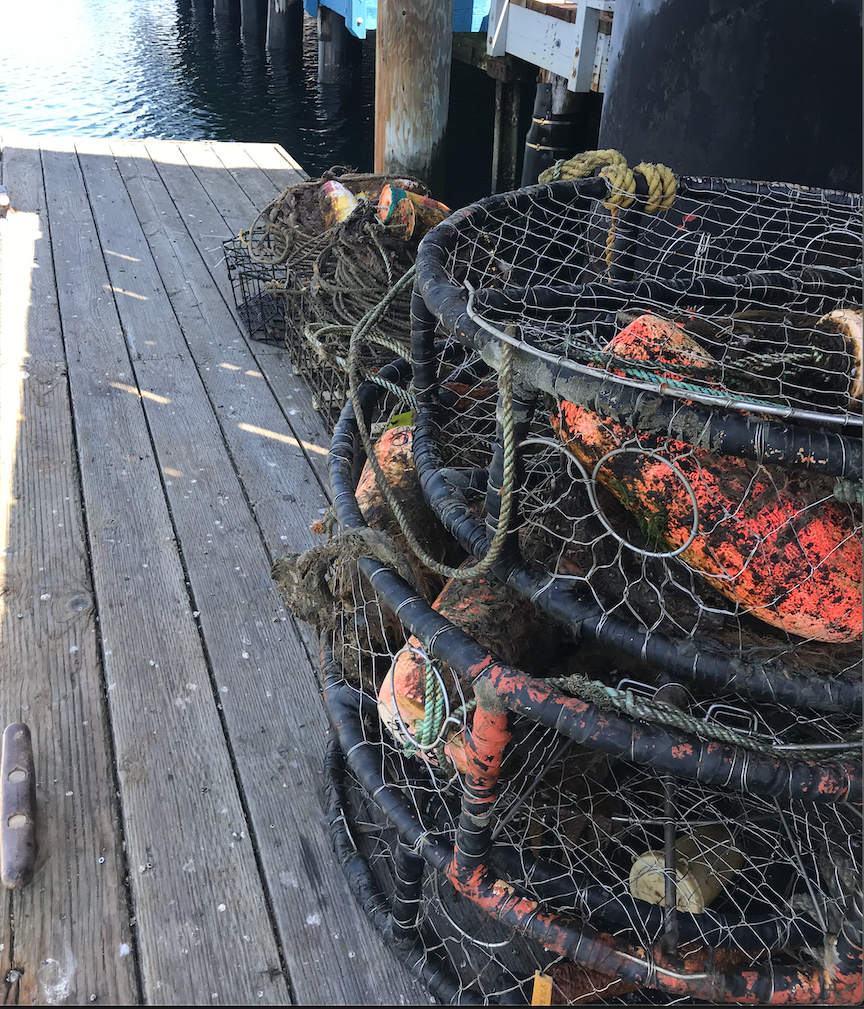 Lost Gear Recovery Project Removes Lost Fishing Gear From Monterey Bay