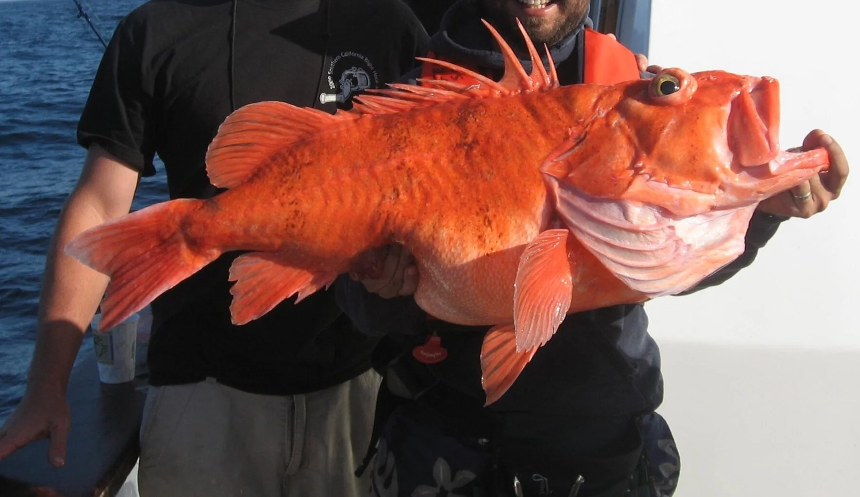 Cowcod Rockfish, 2011 Southern California Hook &amp; Line Survey (NOAA/PSMFC)