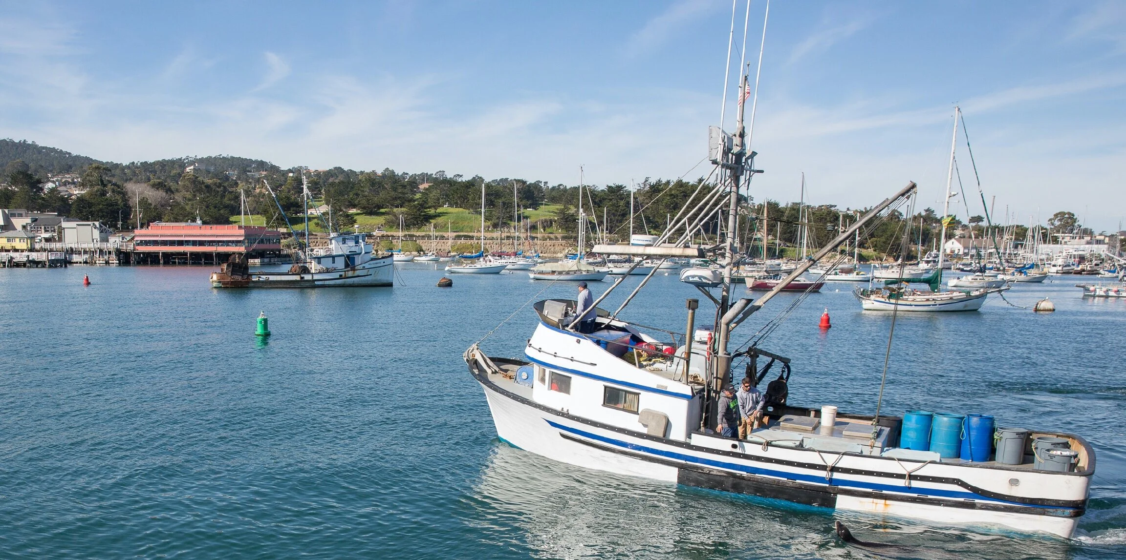 Commercial fishing boats in Monterey harbor. ©David HIlls