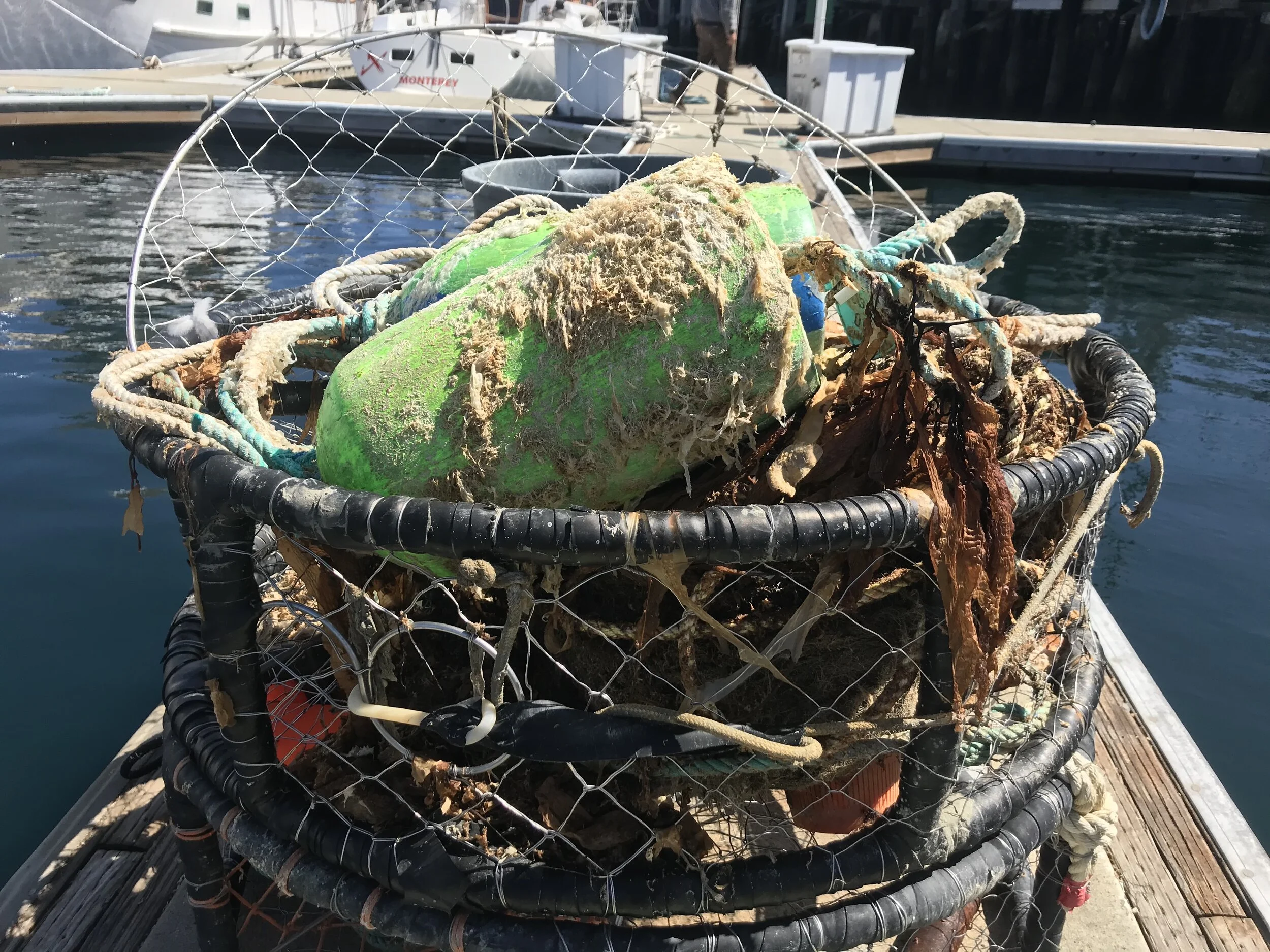 Commercial Dungeness crab pots recovered by Monterey recovery vessel, F/V Ocean Warrior. The owners were located and gear was returned.