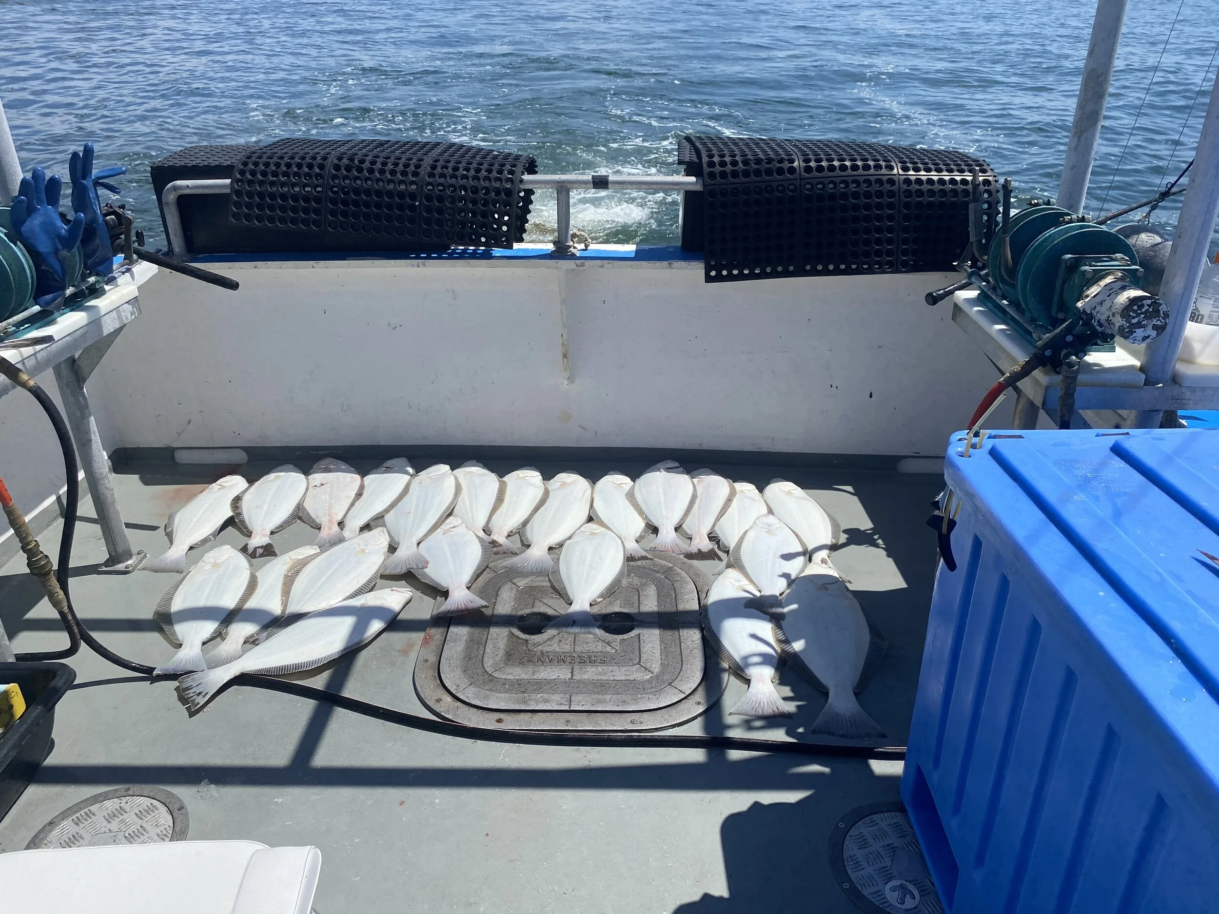 Photo credit: Cody Reed, F/V Ruth Ann