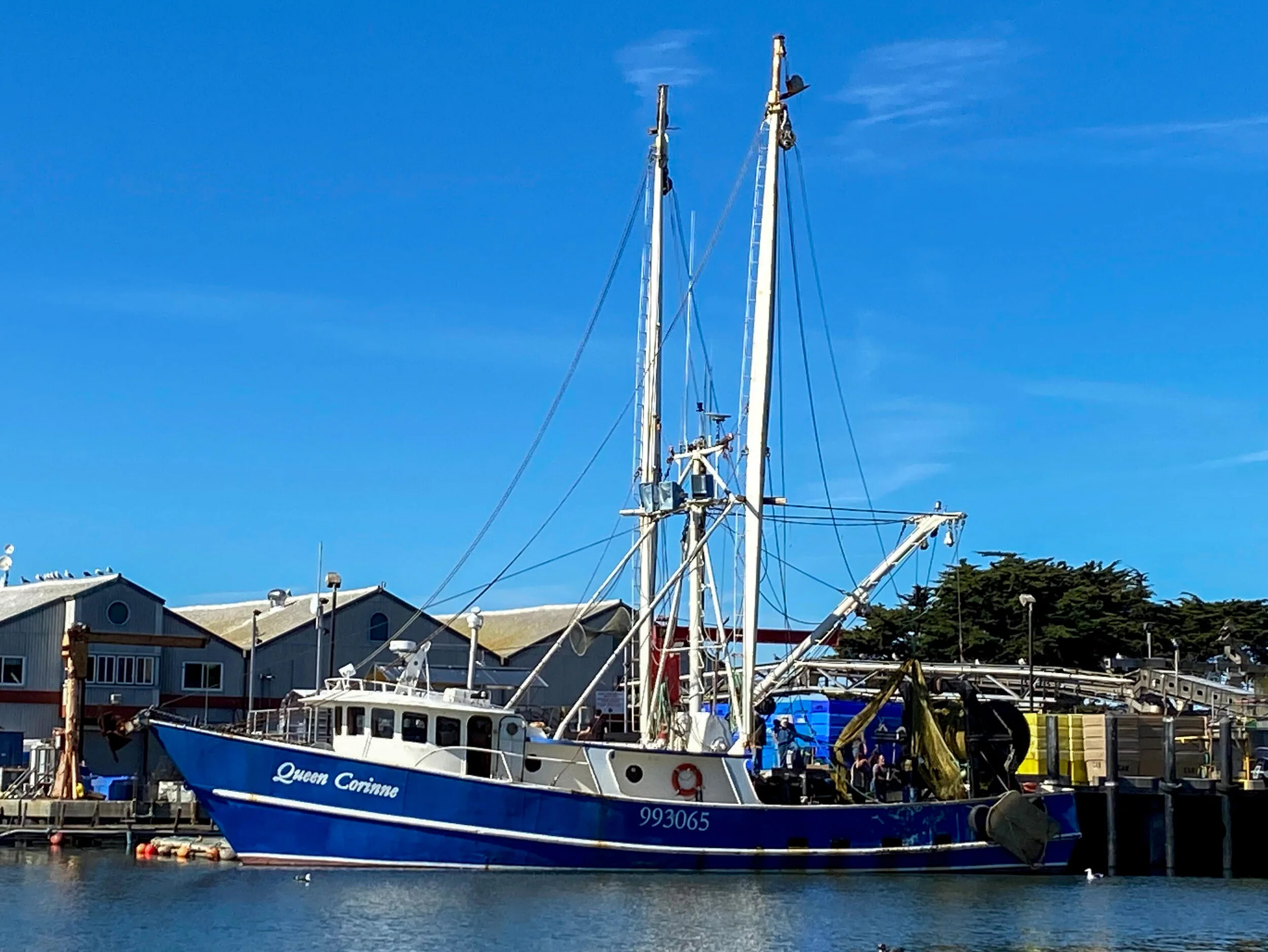 The Monterey Bay seafood economy turns another page with the arrival of the F/V Queen Corinne