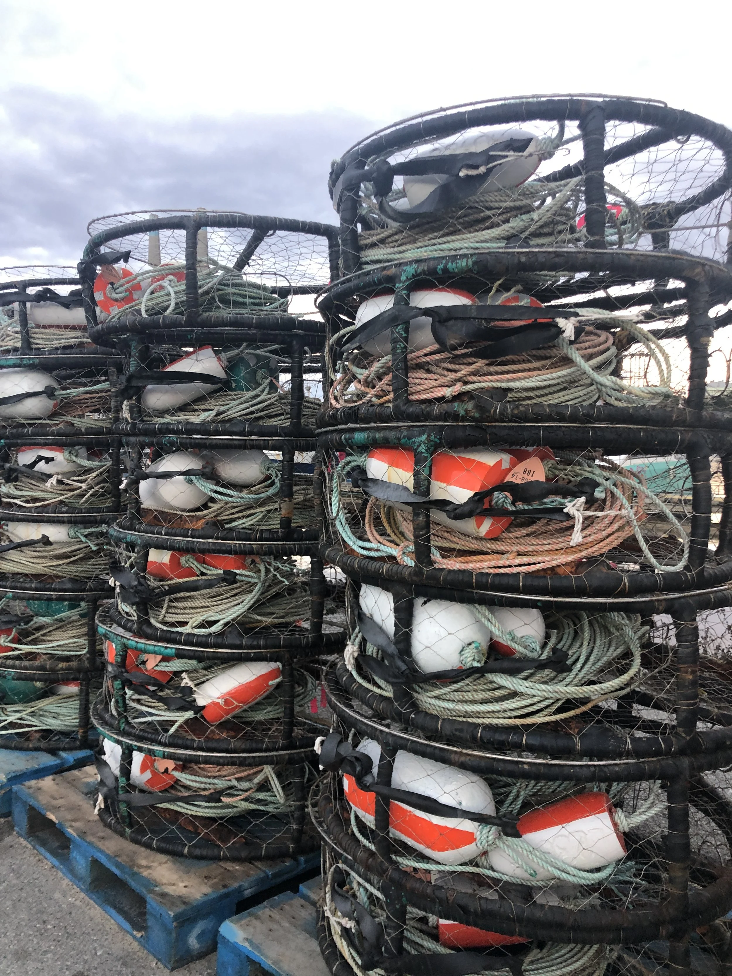 Digging deeper into Dungeness 