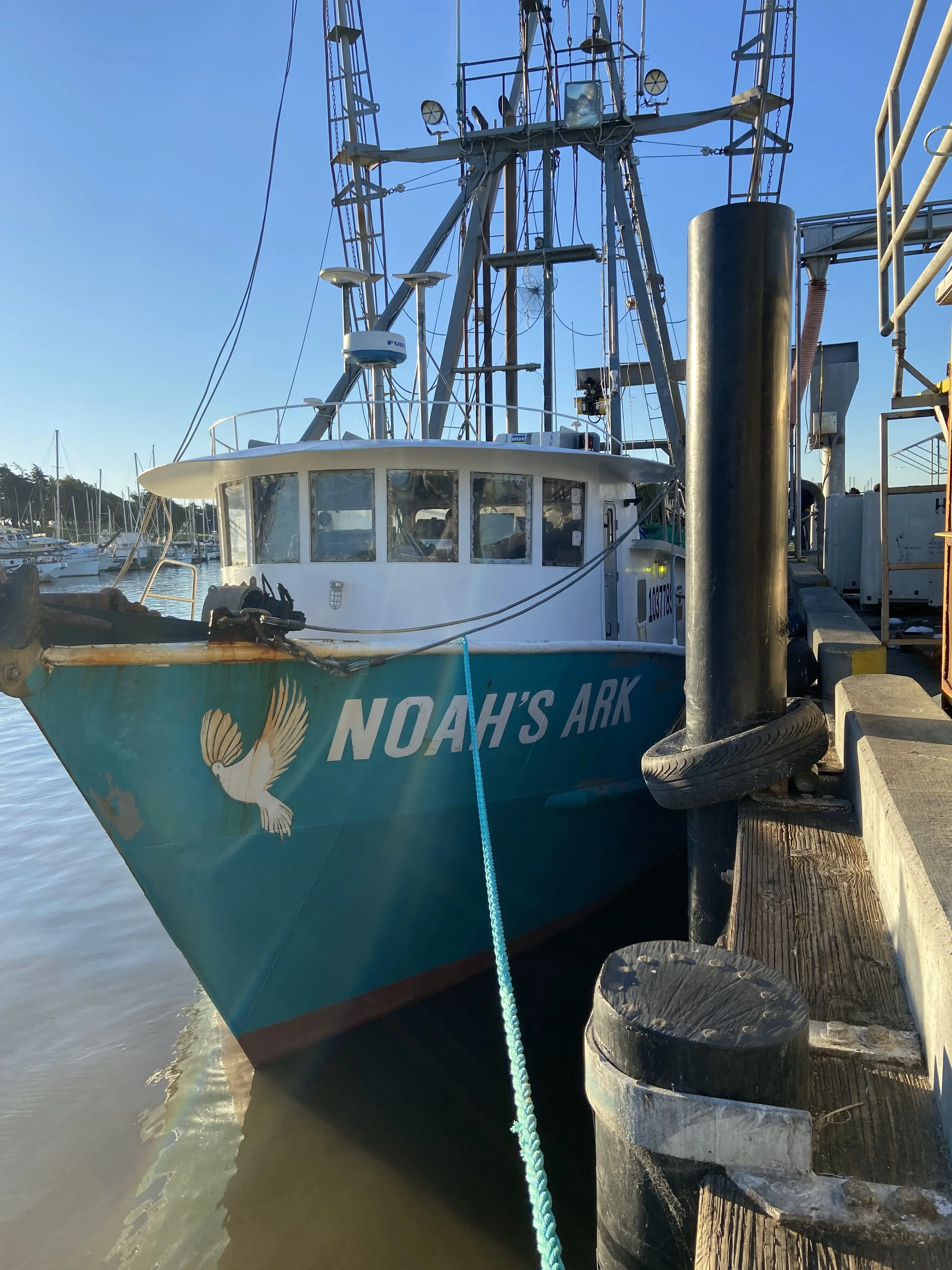 Noah's Ark Helps Revive Monterey Bay Groundfish Market