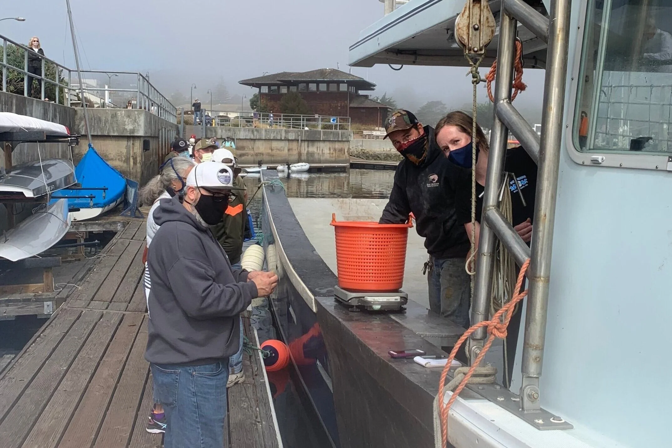 Spot prawns being sold off the F/V Ocean Warrior in Monterey on August 9th, 2020.  Photo Credit: John Haynes, Harbormaster, City of Monterey