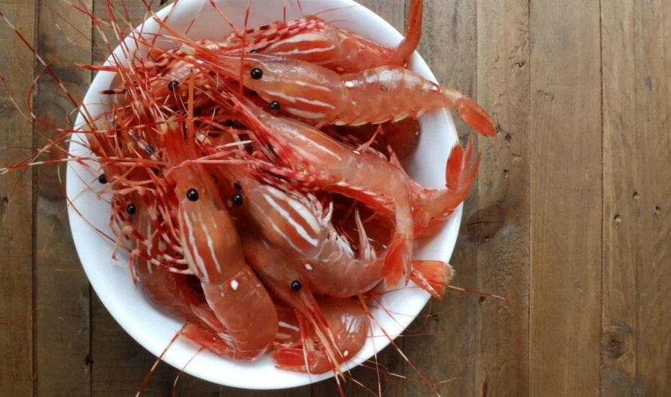 Spot Prawns - What to know, when &amp; where to get them