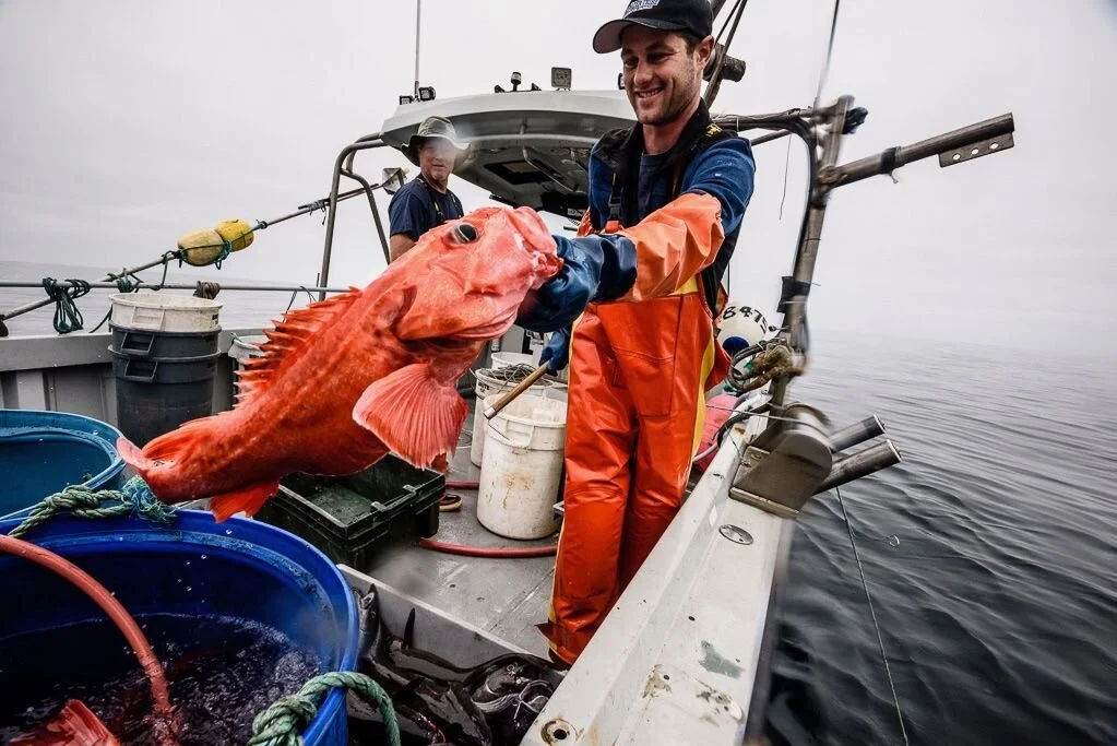 Fishing Gear Types 101: Longlines &amp; Hook and Line