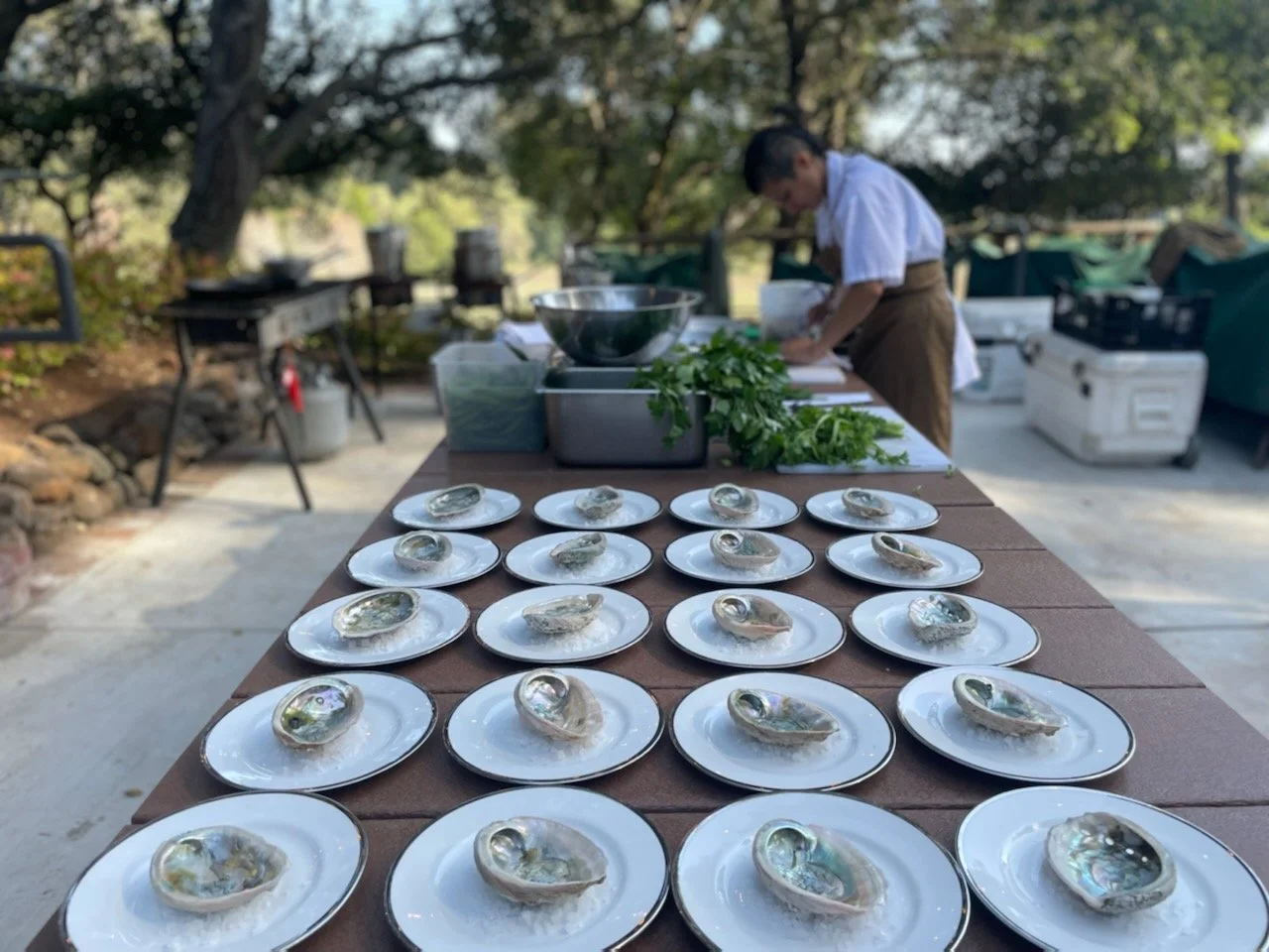 Several plates with oysters on ice arranged on a wooden table outdoors, with a chef in the background preparing more oysters.