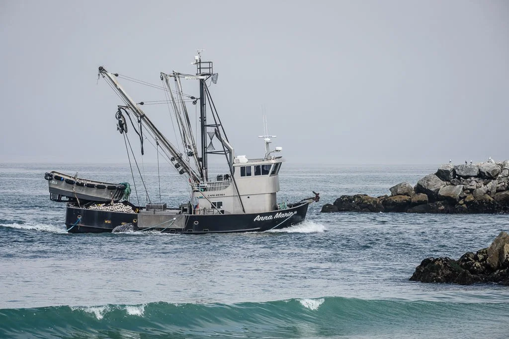 California FarmLink - working to support the next generation of fishermen