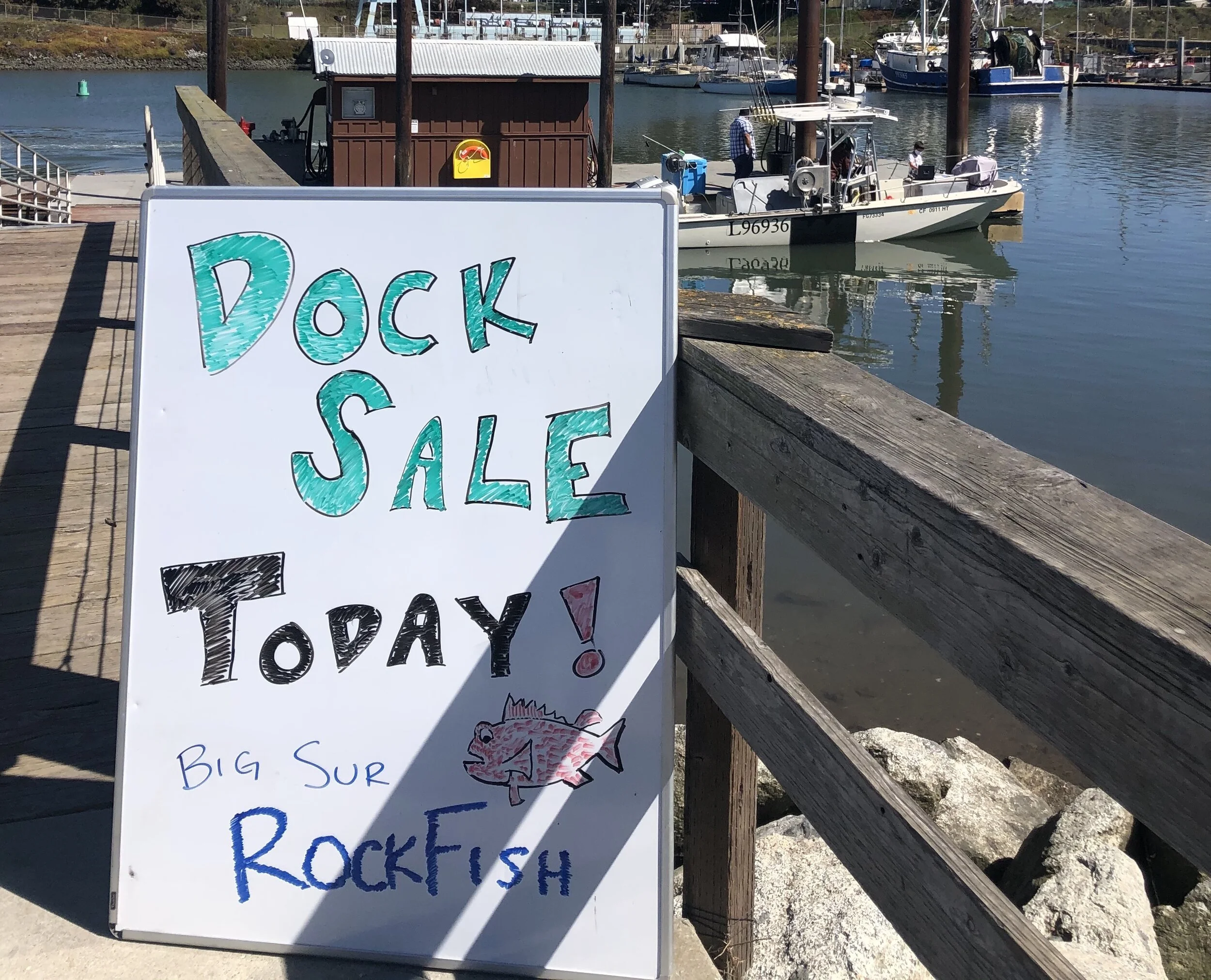 Fresh rockfish being sold off the boat in Moss Landing