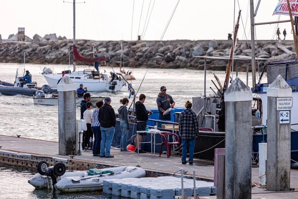 People waiting in line on a dock to book a boat trip, with boats and rocky breakwater in background.