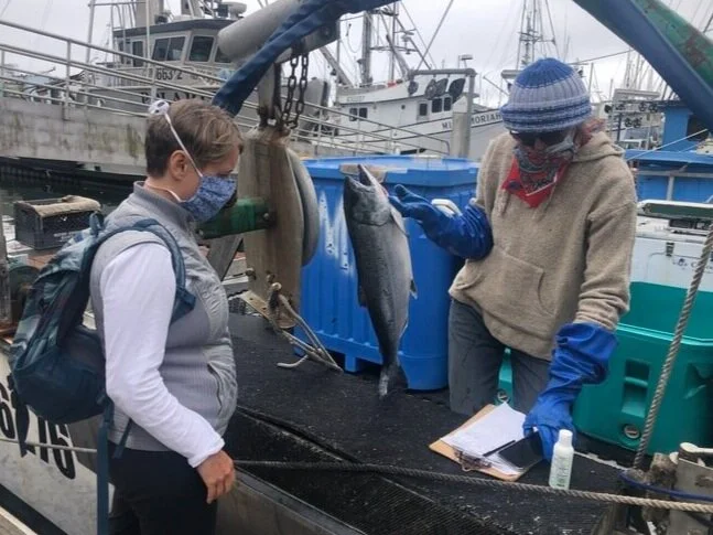 How to buy seafood off the boat (dock sales)