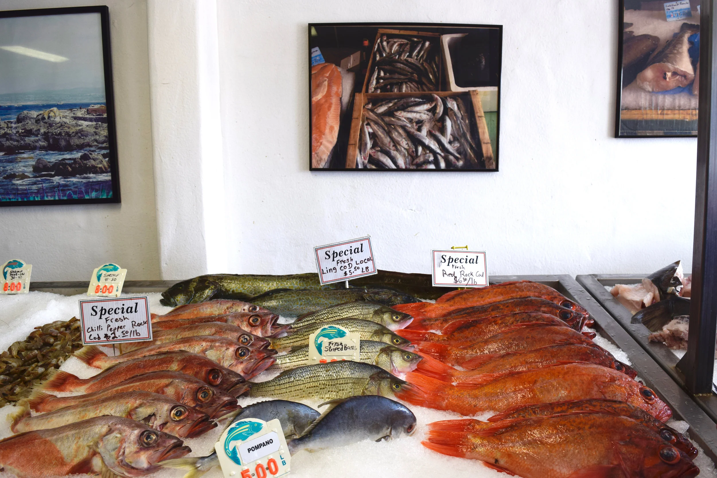 The fish counter at Monterey Fish Market