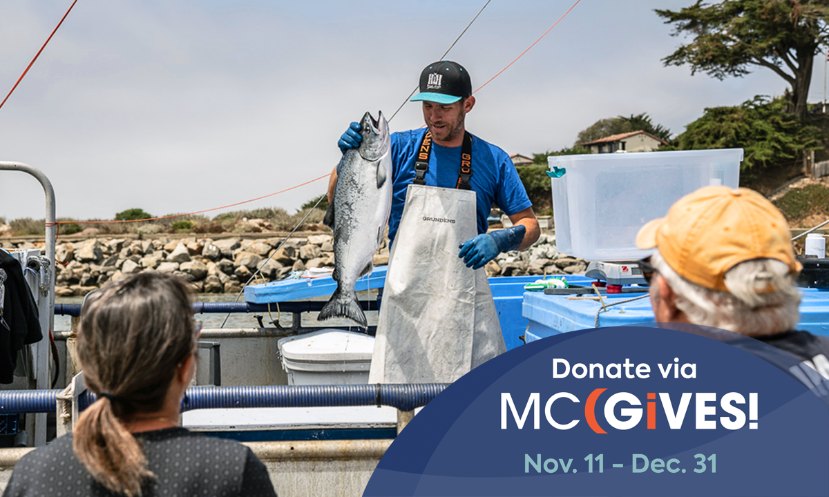 MCGives: Build the movement to support local seafood