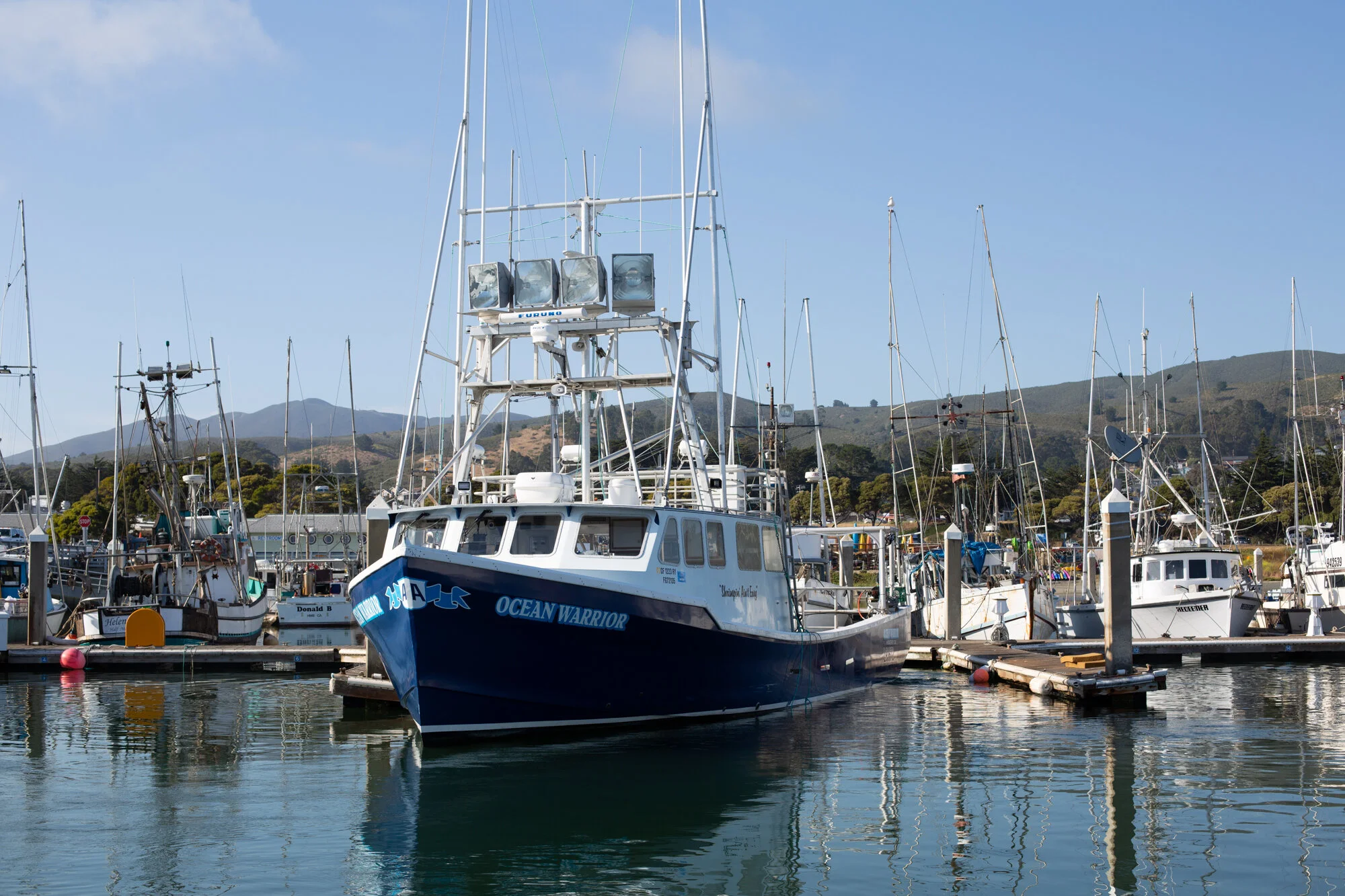 The F/V Ocean Warrior in Half Moon Bay after offloading King Salmon in June 2020. Photo: TrimTab Media