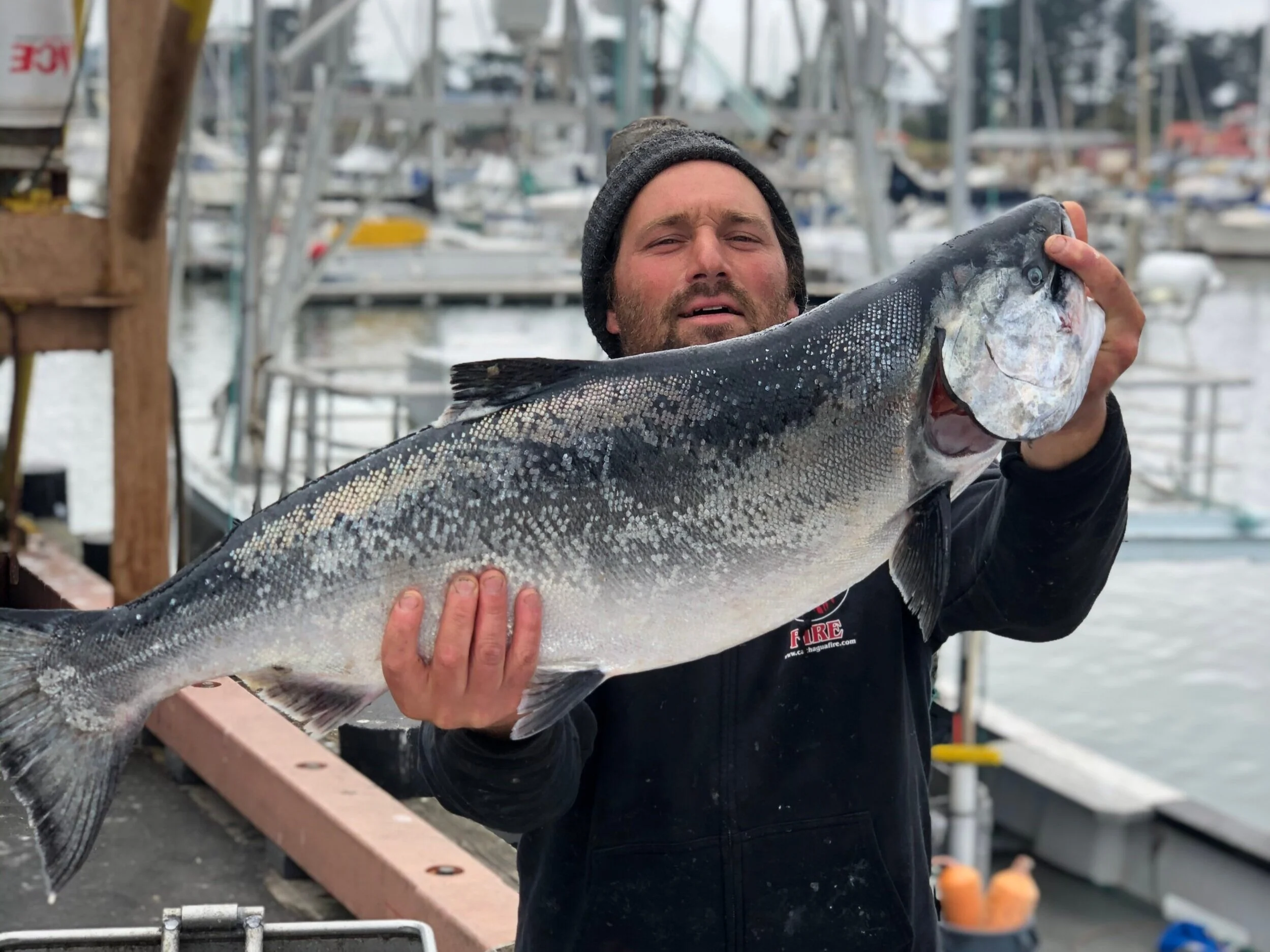 Skylar offloading King Salmon in Half Moon Bay, California in June 2020. Photo: Sherry Flumerfelt