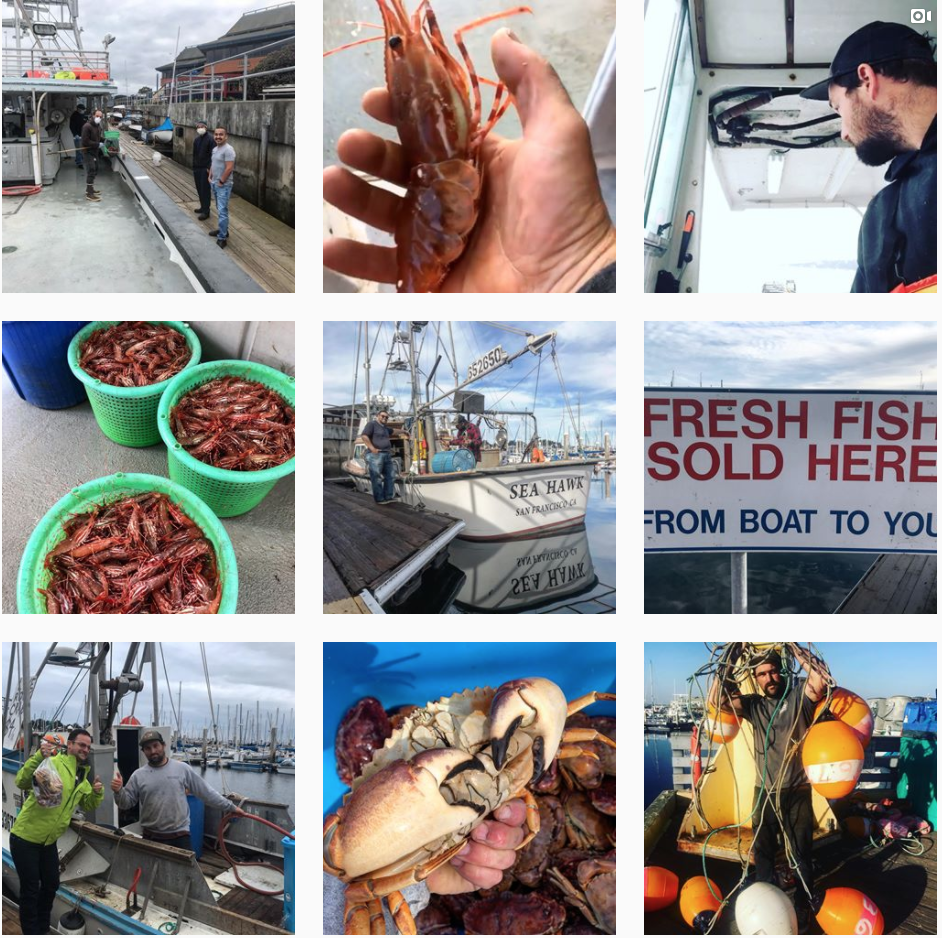 Skylar’s Instagram feed @montereyfishermansmarket