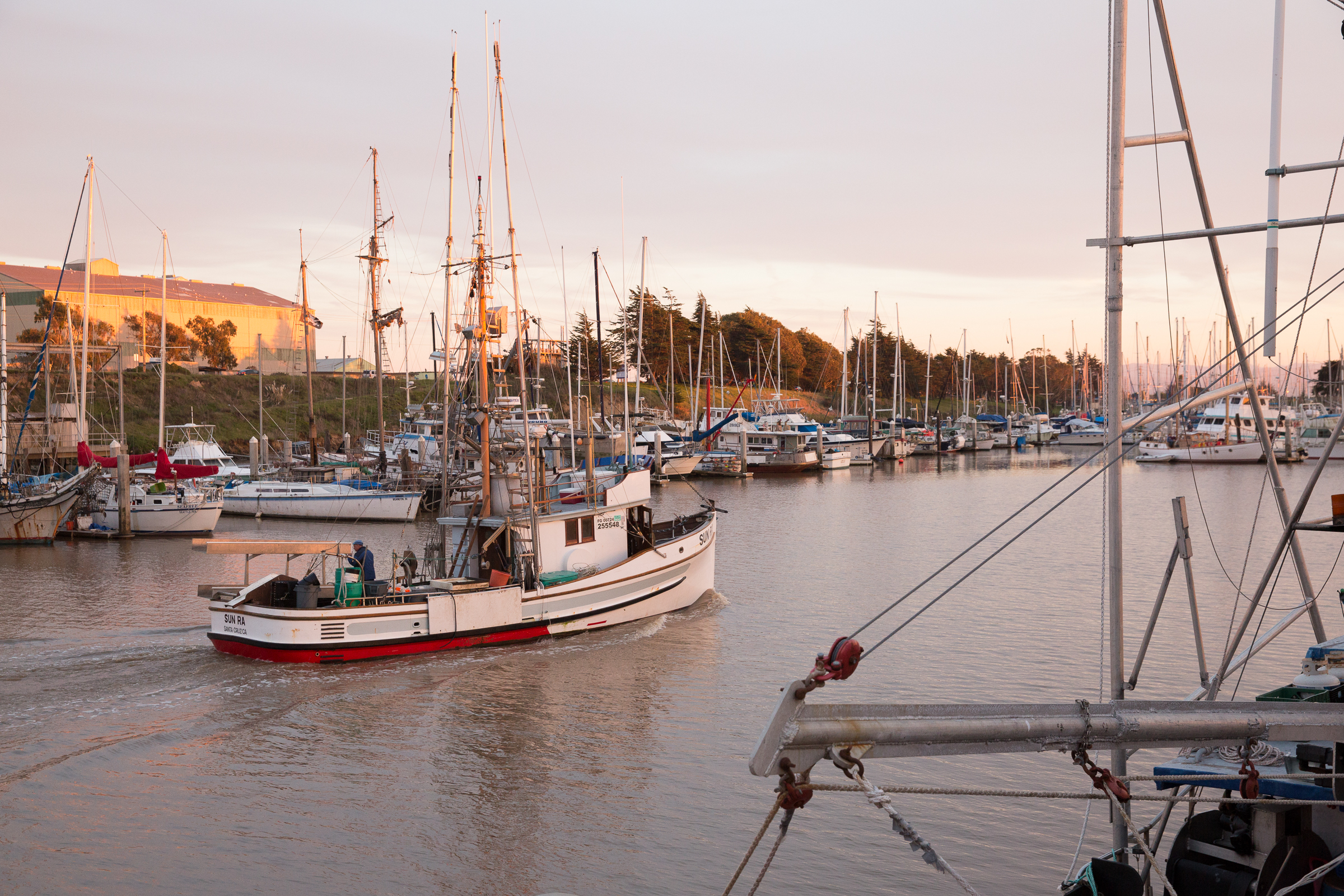 Monterey Bay Fisheries Trust receives $114,110 in grants to develop a “Fish Hub” business plan and to strengthen internal operations