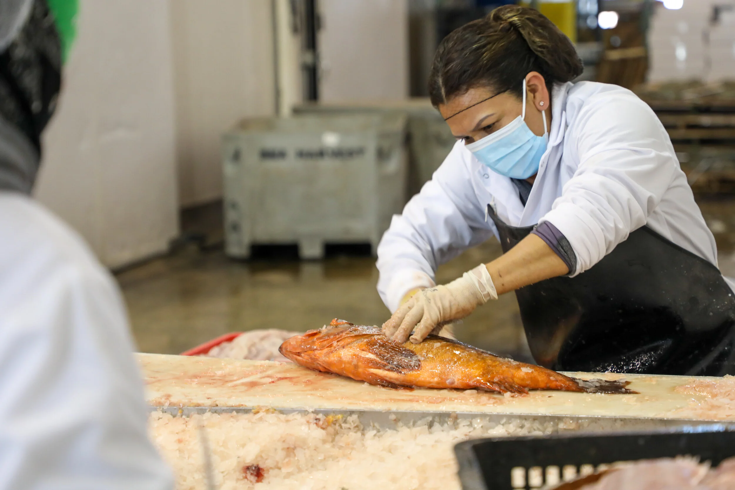 Fish cutters and processing workers - The unsung heroes of local seafood