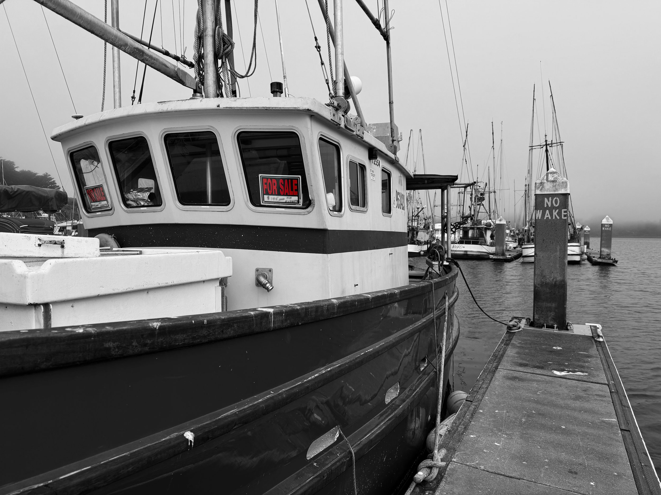 Closed for a 3rd year: What Does the Future Hold for California’s Salmon Fishery?