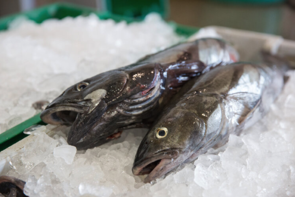 Sablefish (Black Cod) - What to know, when + where to get it