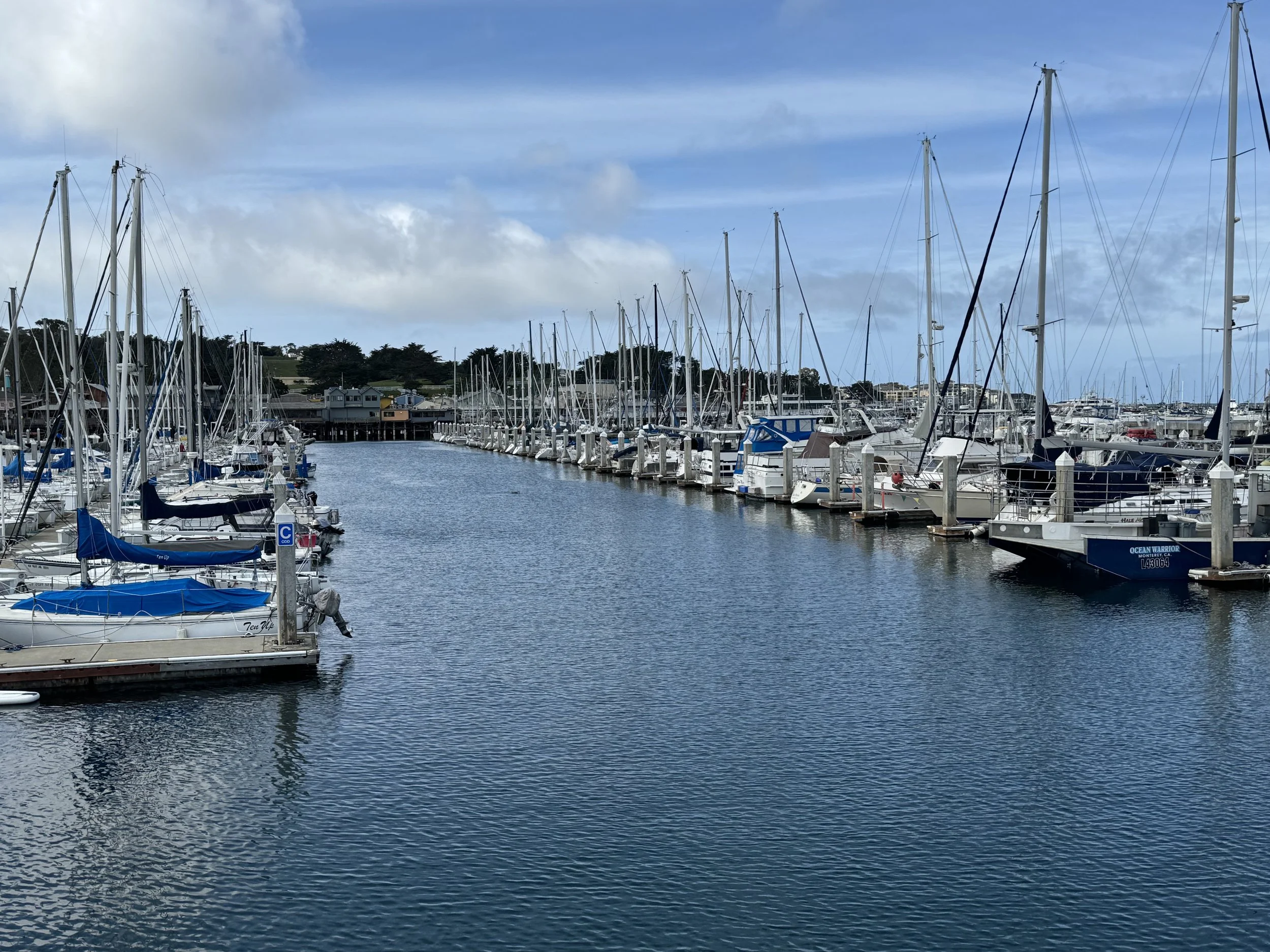 A marina with numerous sailboats and yachts docked along wooden piers, set against a backdrop of green trees and a partly cloudy sky.