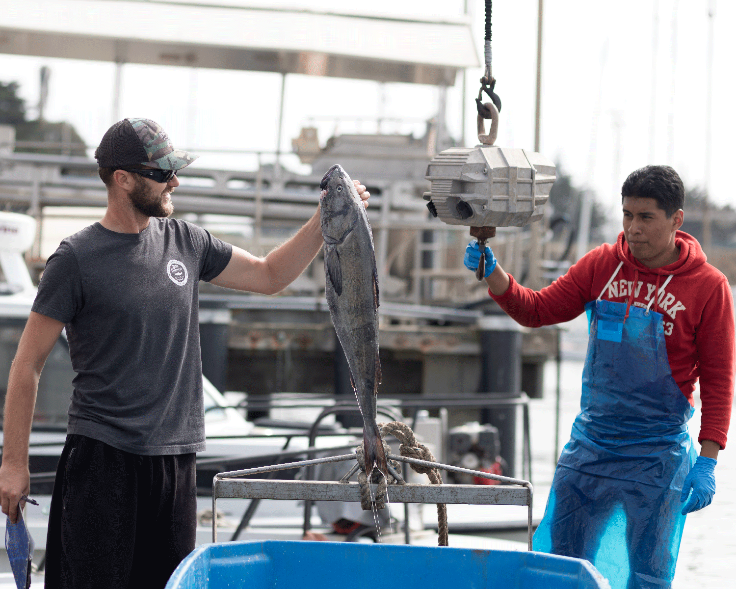 Two men at a dock, one holding a large fish and the other operating a crane to lift it, surrounded by boats and marine equipment.