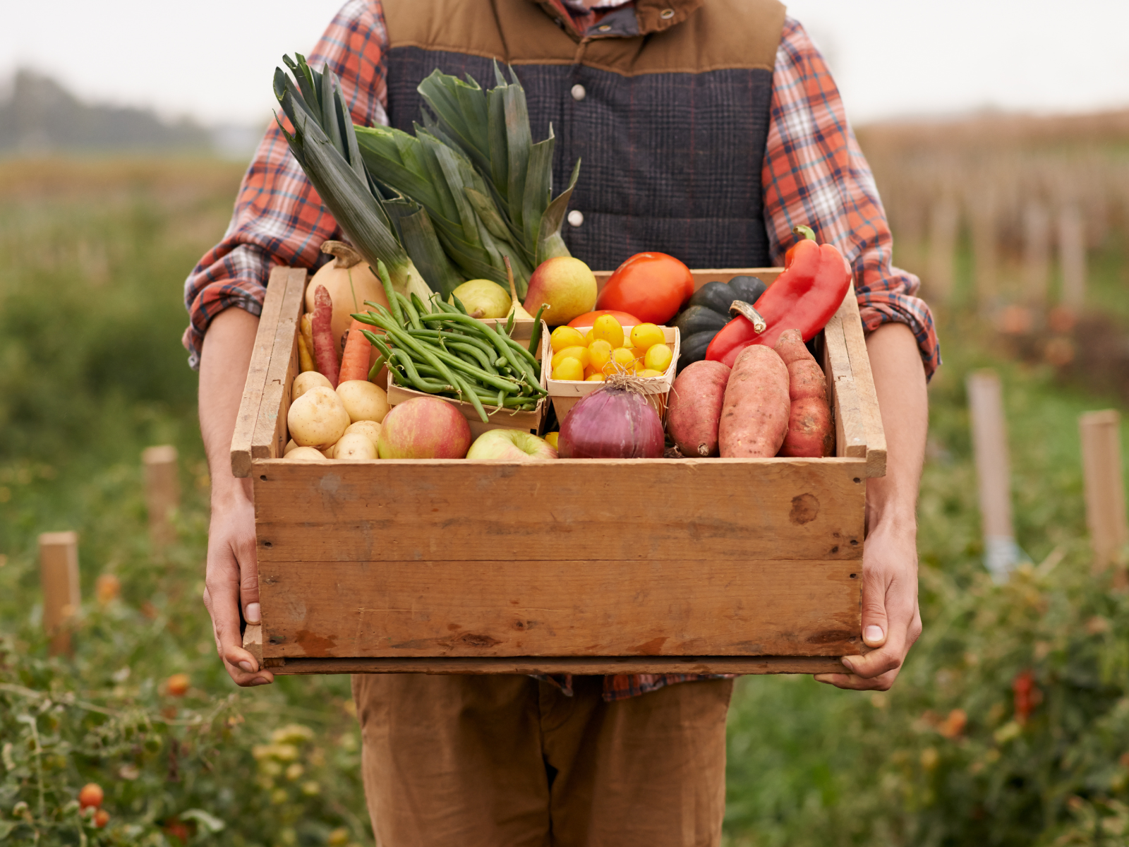 Produce Packaging