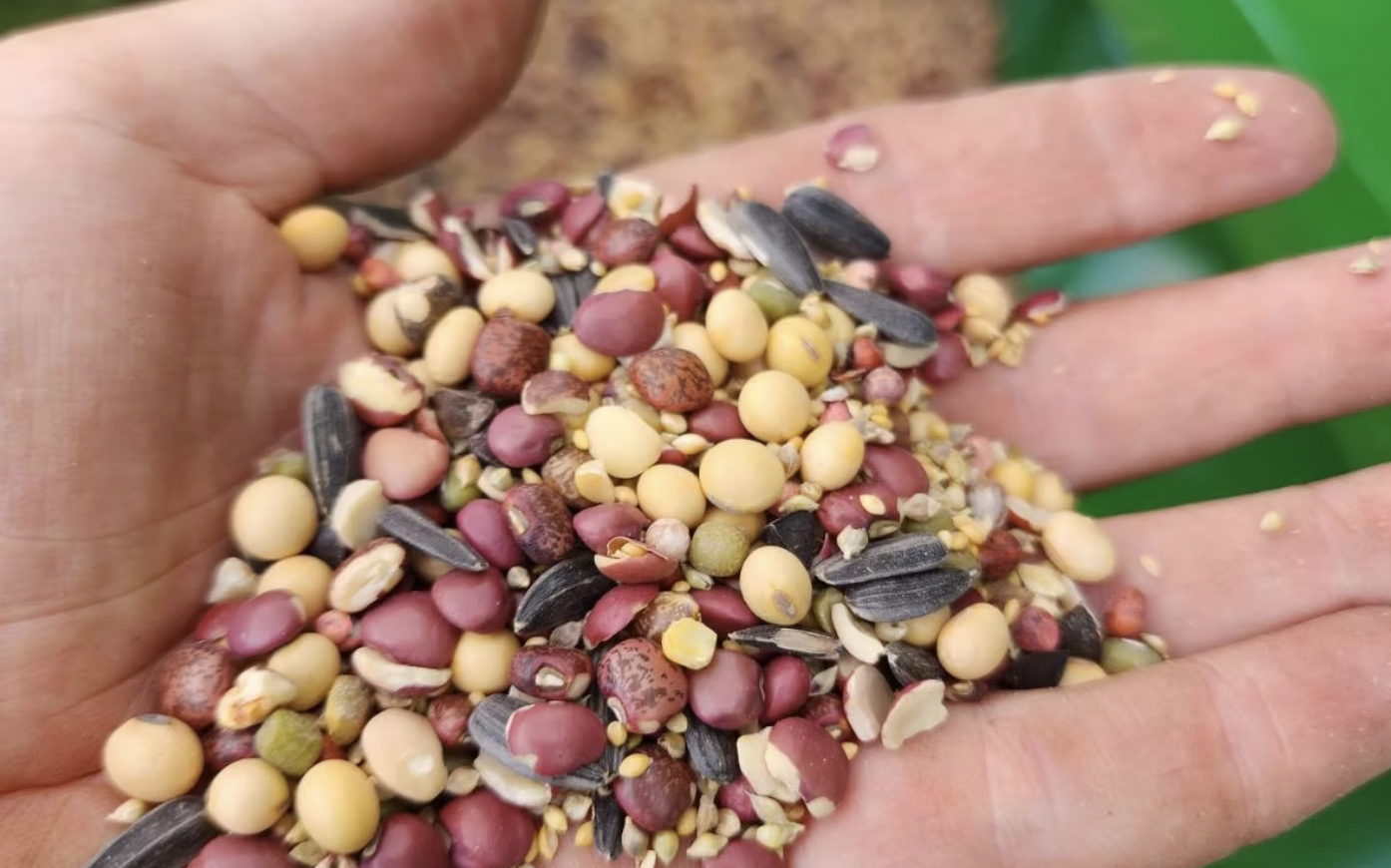 The Future of Farming
