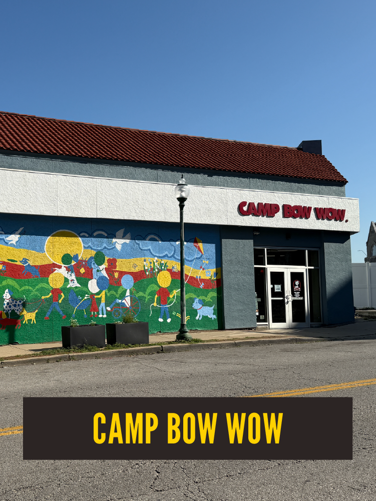 A building with a mural depicting children playing outdoors, flying kites, and holding balloons, with the sign "Camp Bow Wow" on the front and a small storefront entrance.  Westport East