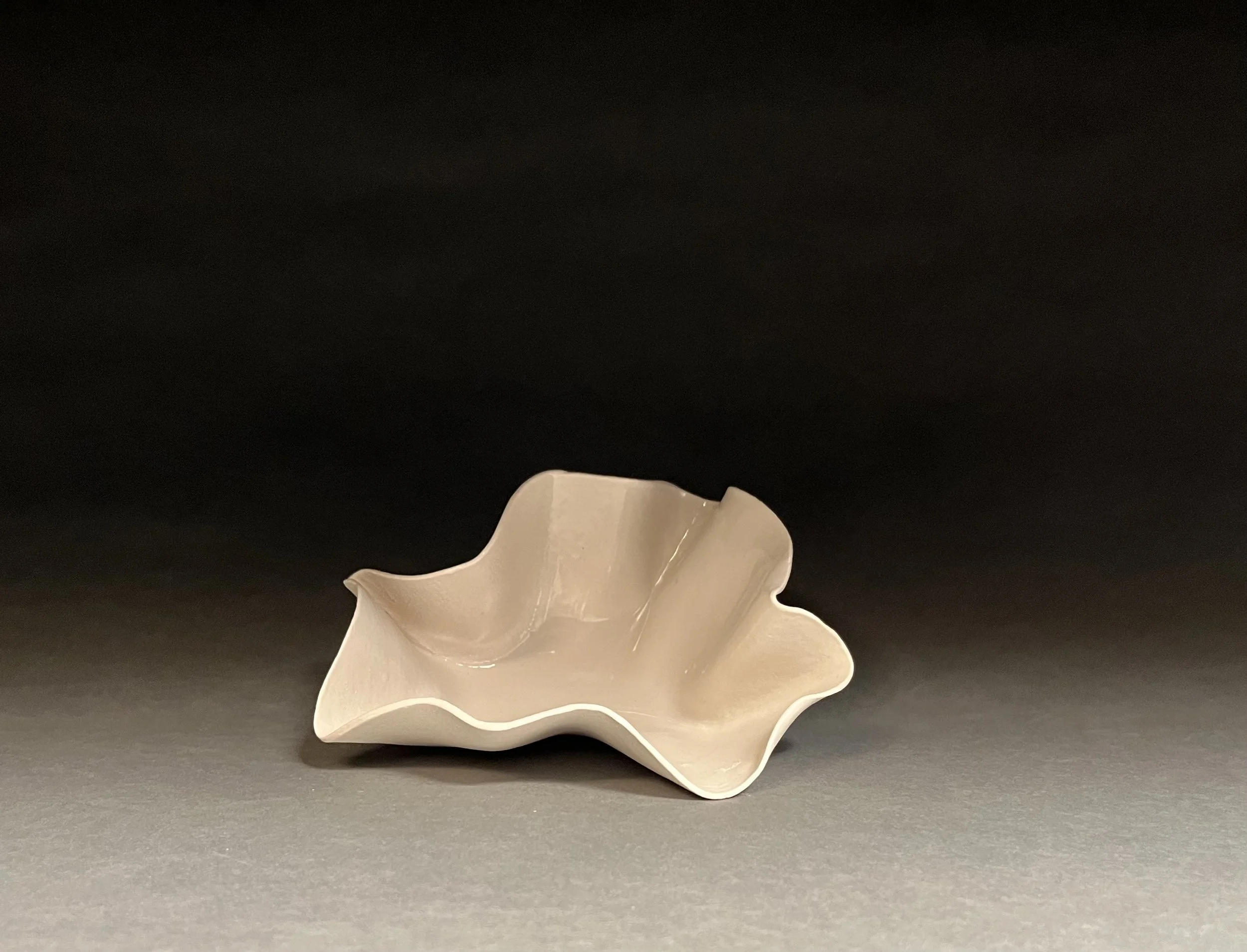 White Porcelain Dish