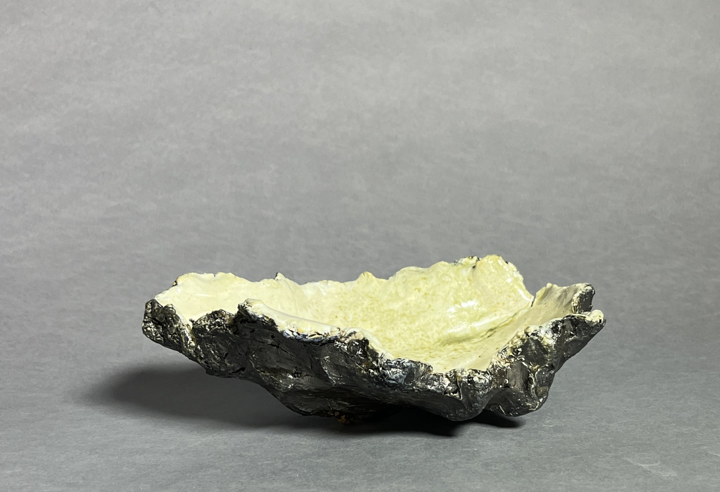 Seashell Sculpture IV