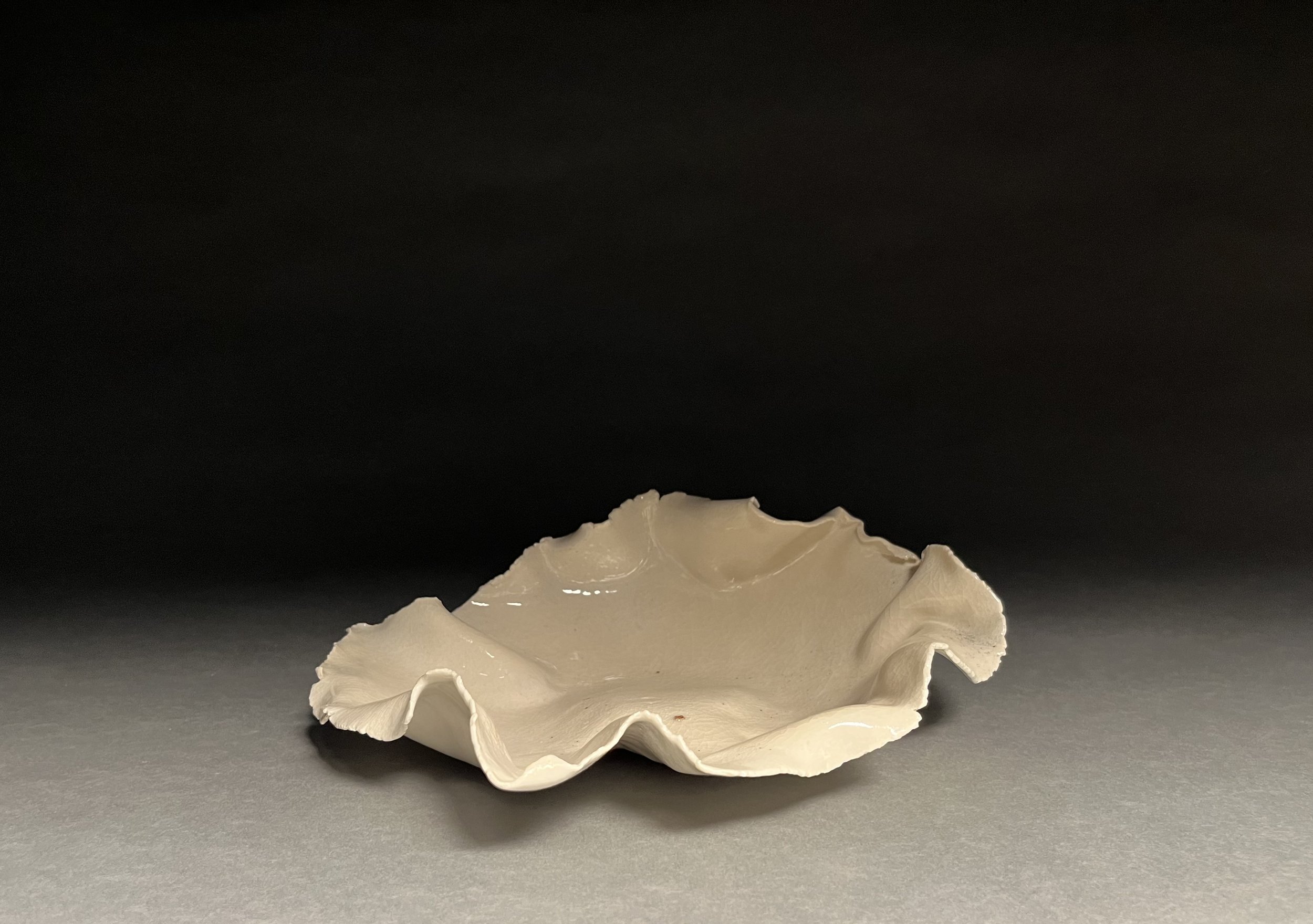 White Porcelain Shell