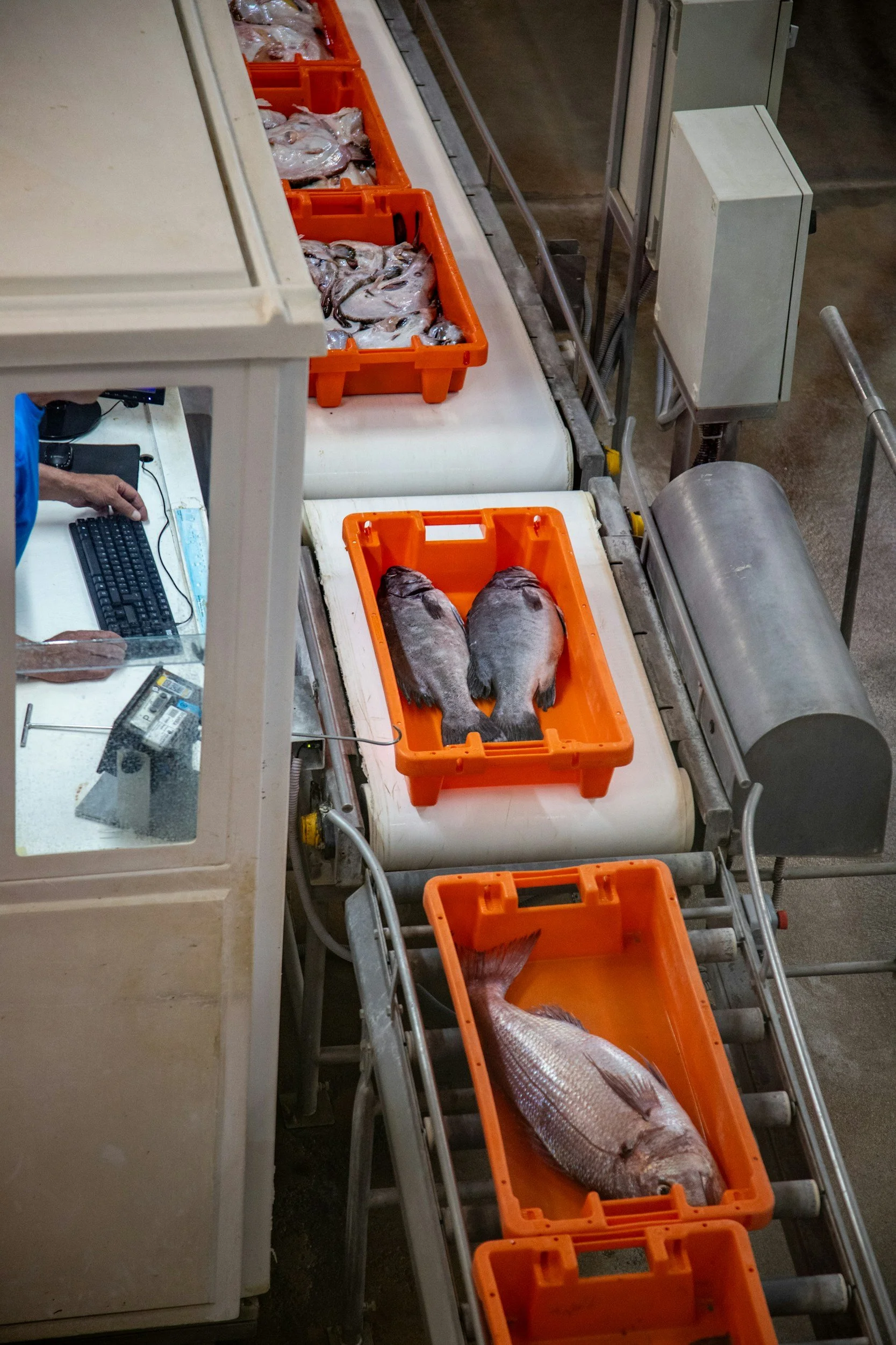 What is a HACCP Plan and why does FDA require yours to be in writing?