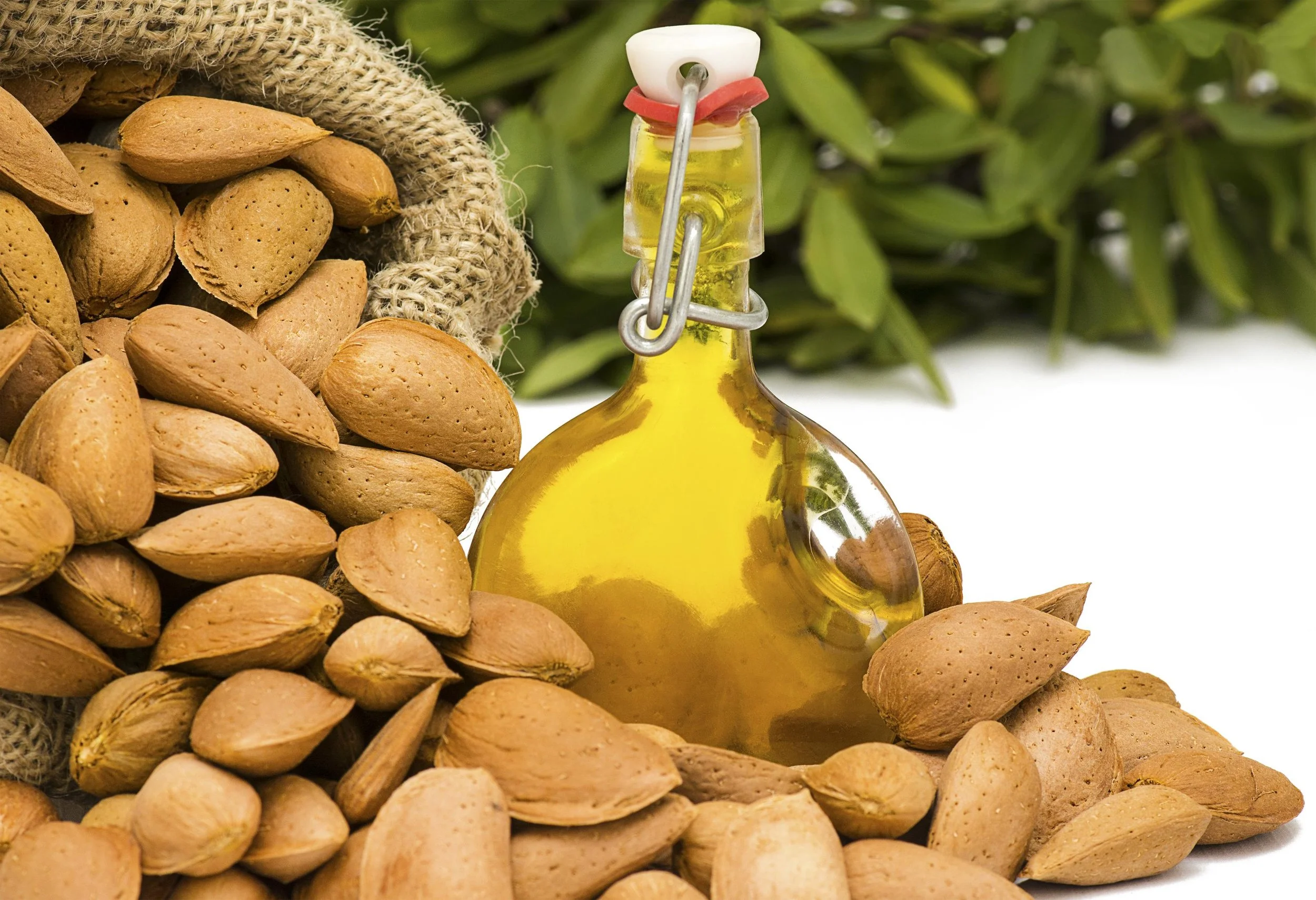 Export Certificate for Food