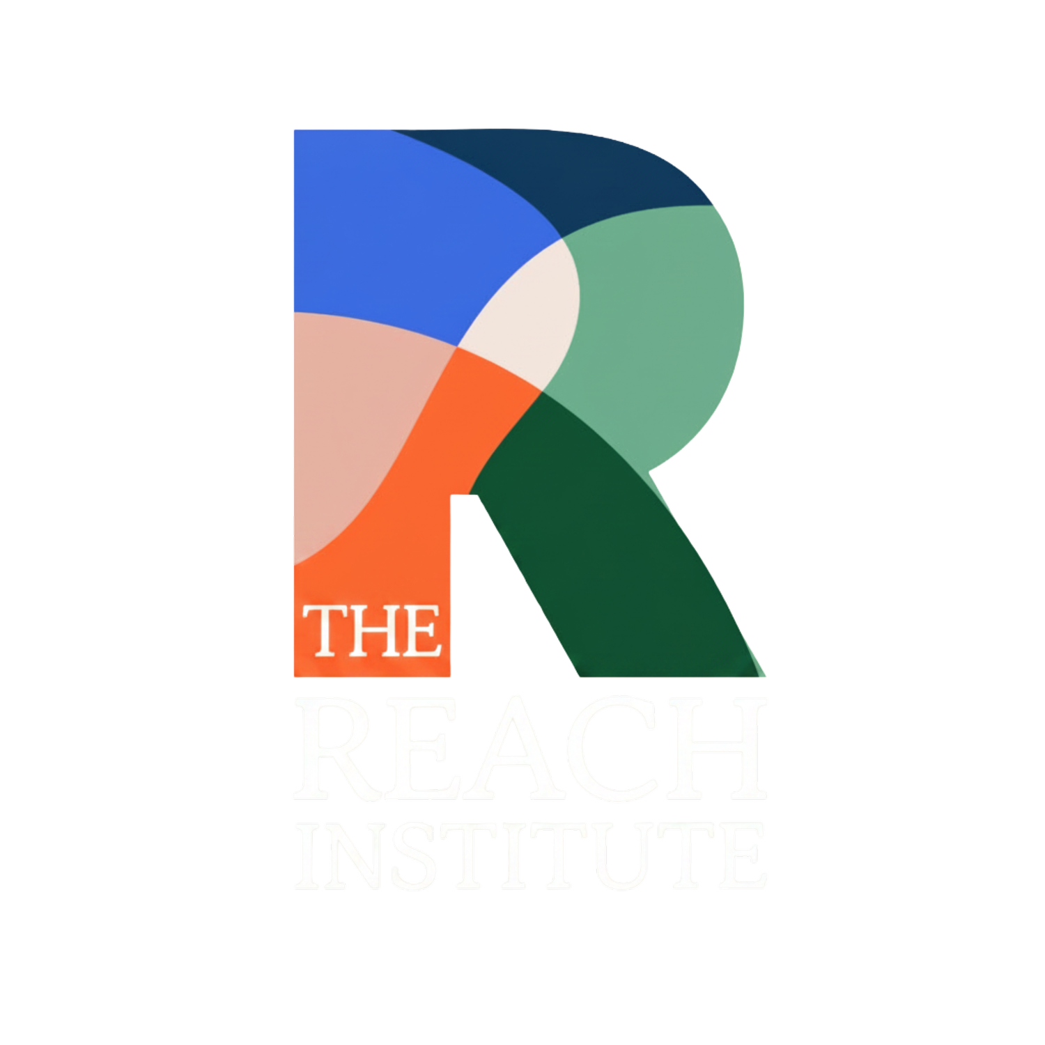 The REACH Institute | 20th Anniversary Conference