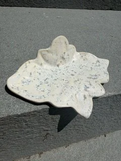 Sandy Sea Holder