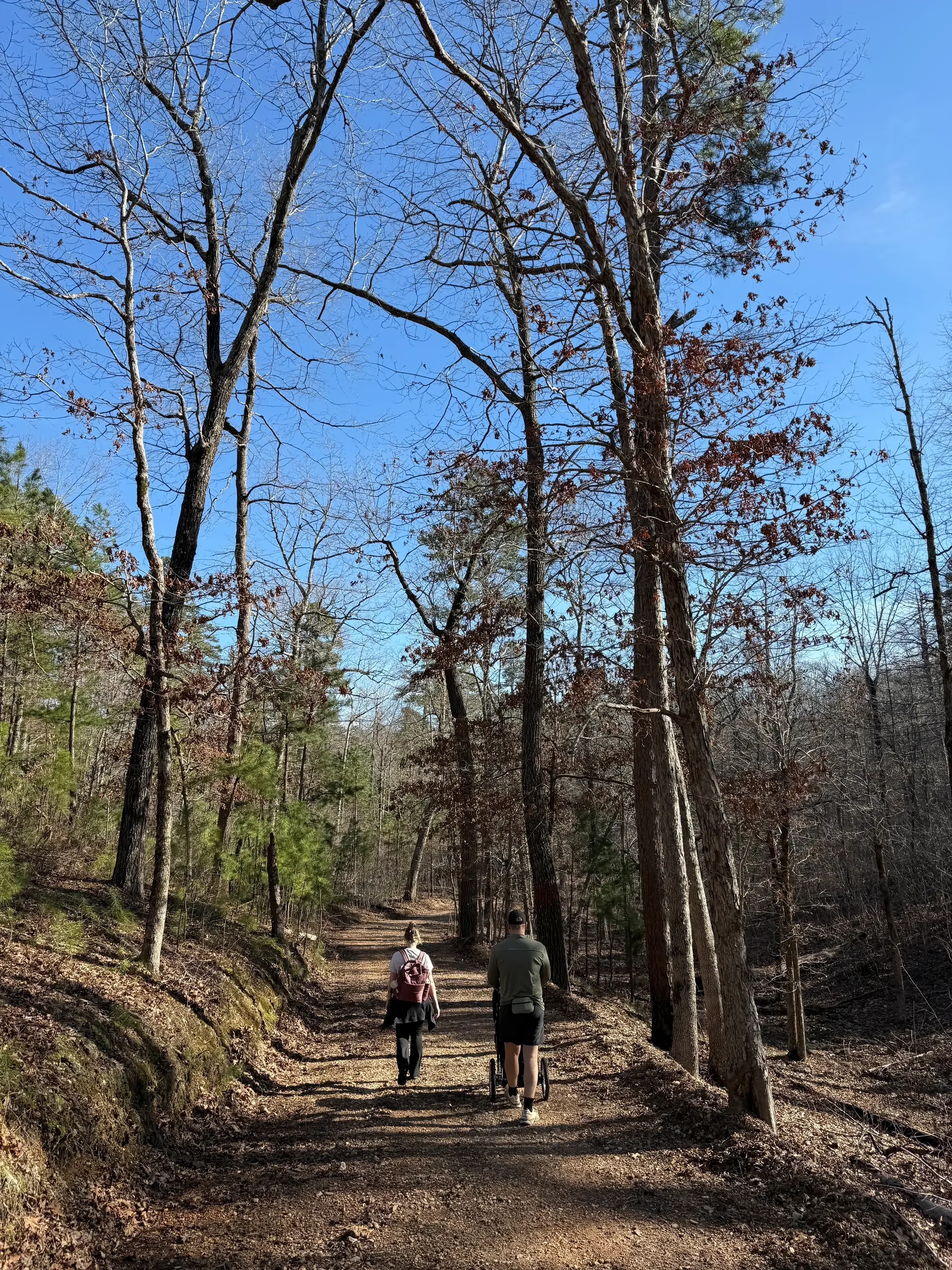 Goforahike.webp