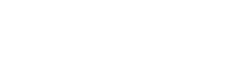 FEMA logo with the U.S. Department of Homeland Security seal featuring an eagle, next to the word 'FEMA' in bold letters.