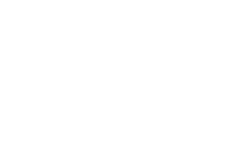 The Washington State University logo featuring a stylized cougar head in white on a black background with the university name below.
