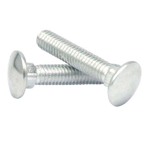 Two silver metal screws with flat heads lying on a white background.