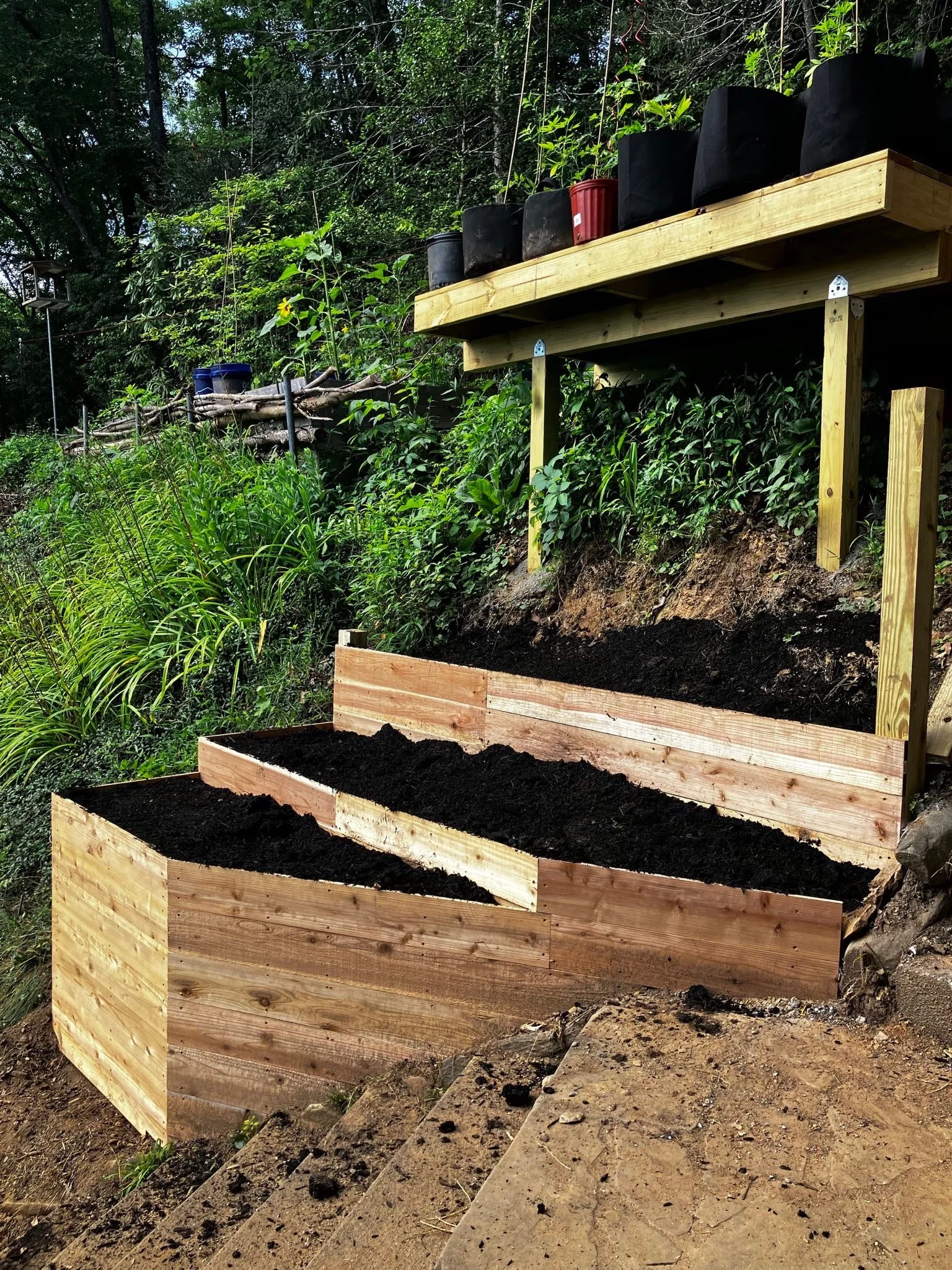 A garden with layered wooden raised beds filled with dark soil, surrounded by green plants and trees, with compost bins and watering cans on a wooden shelf in the background.