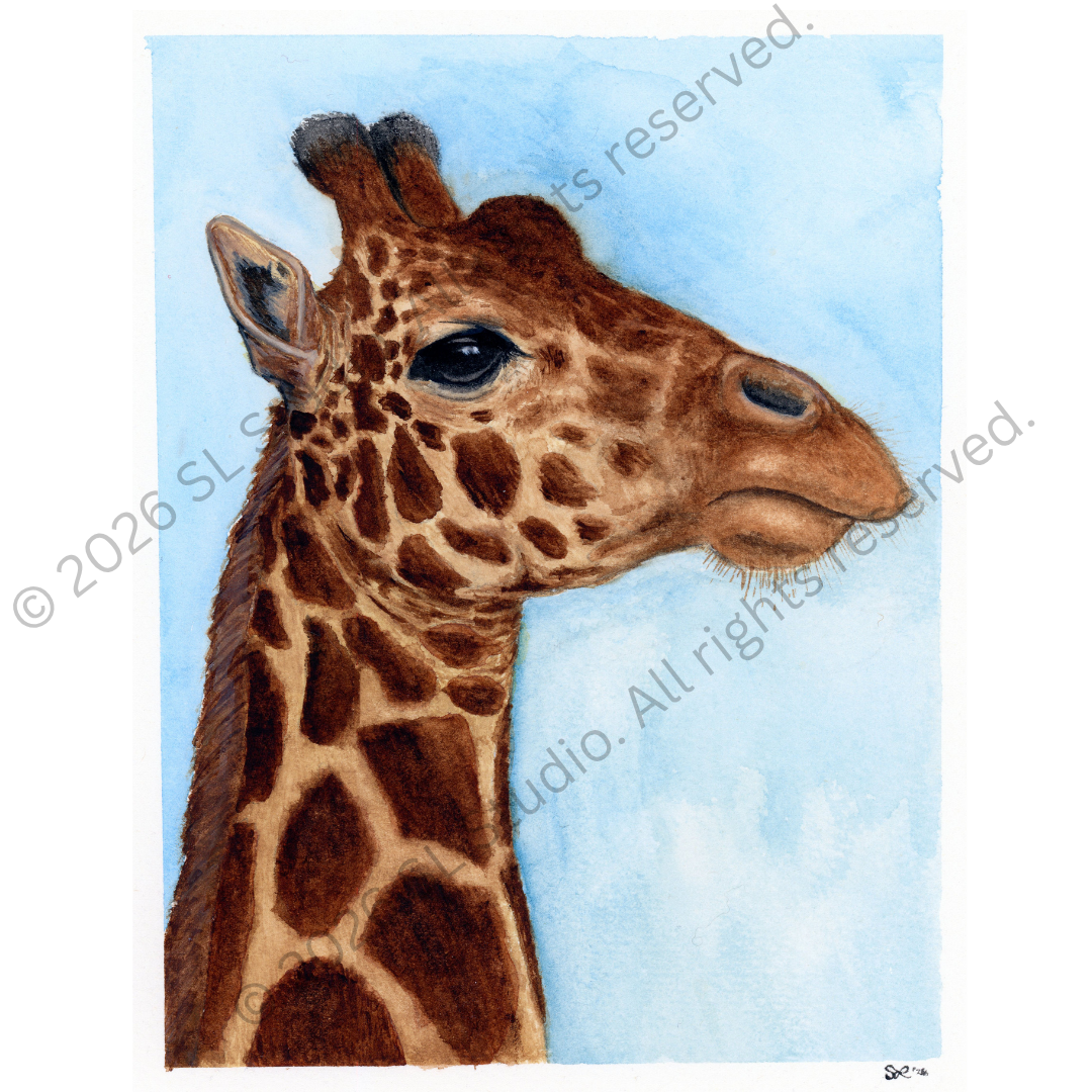 "Head in the Clouds." Watercolor, 2026.