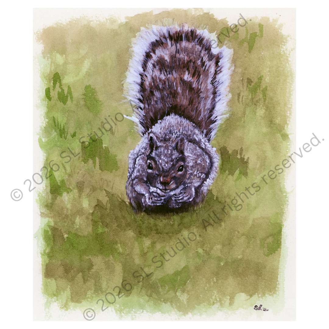 "The Common Squirrel." Watercolor, 2026.
