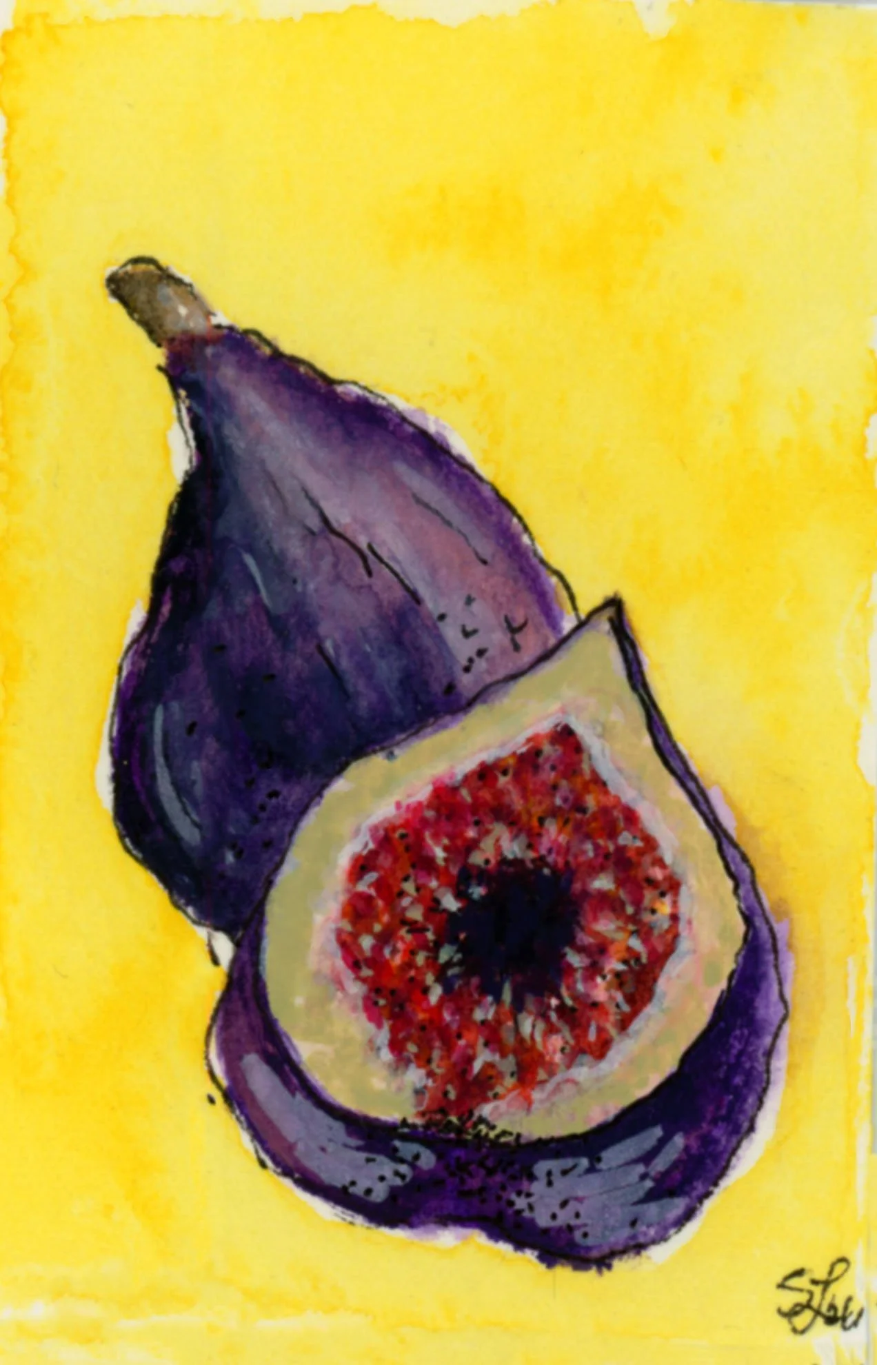 figs.jpg