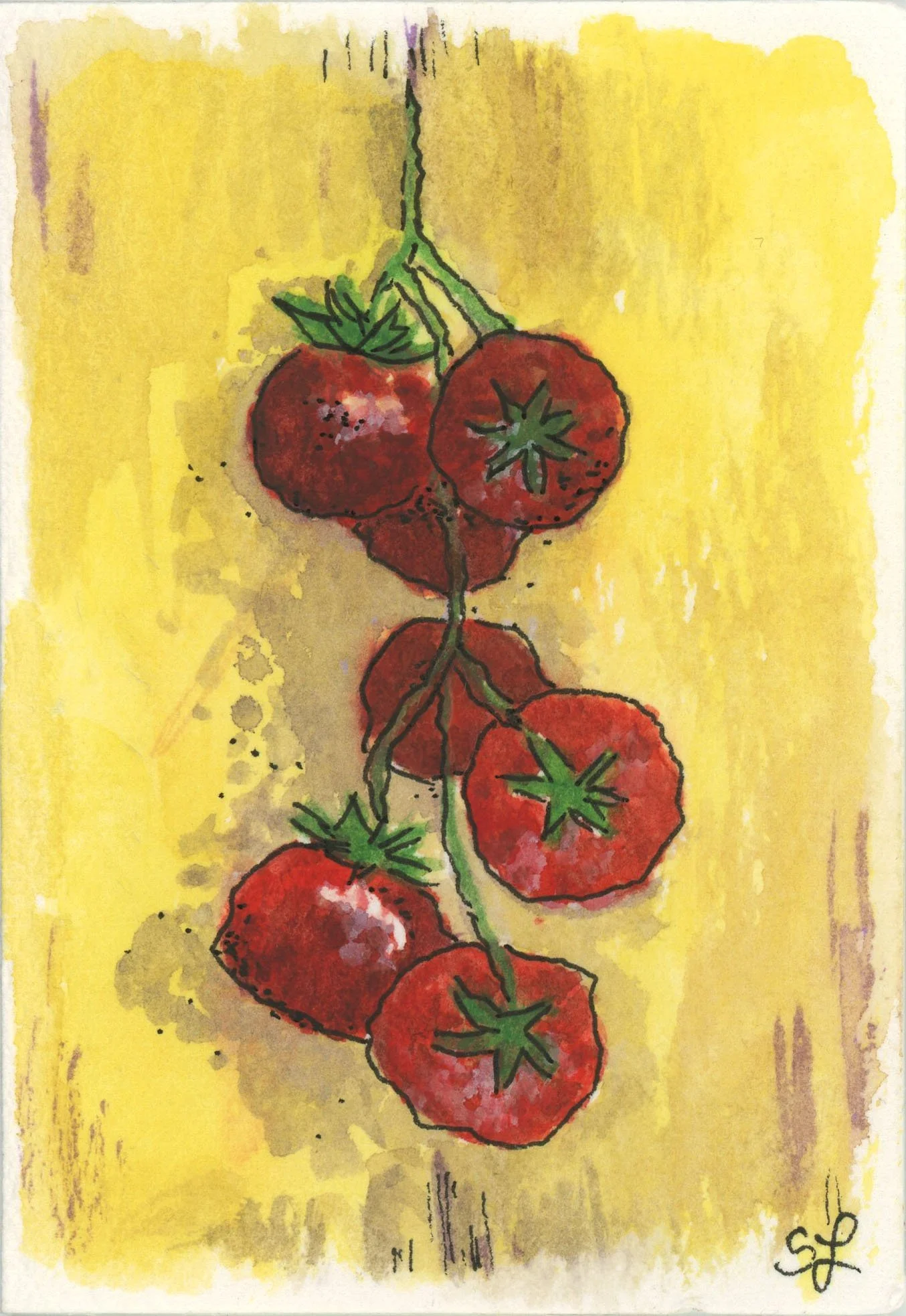 tomato tomato.jpg